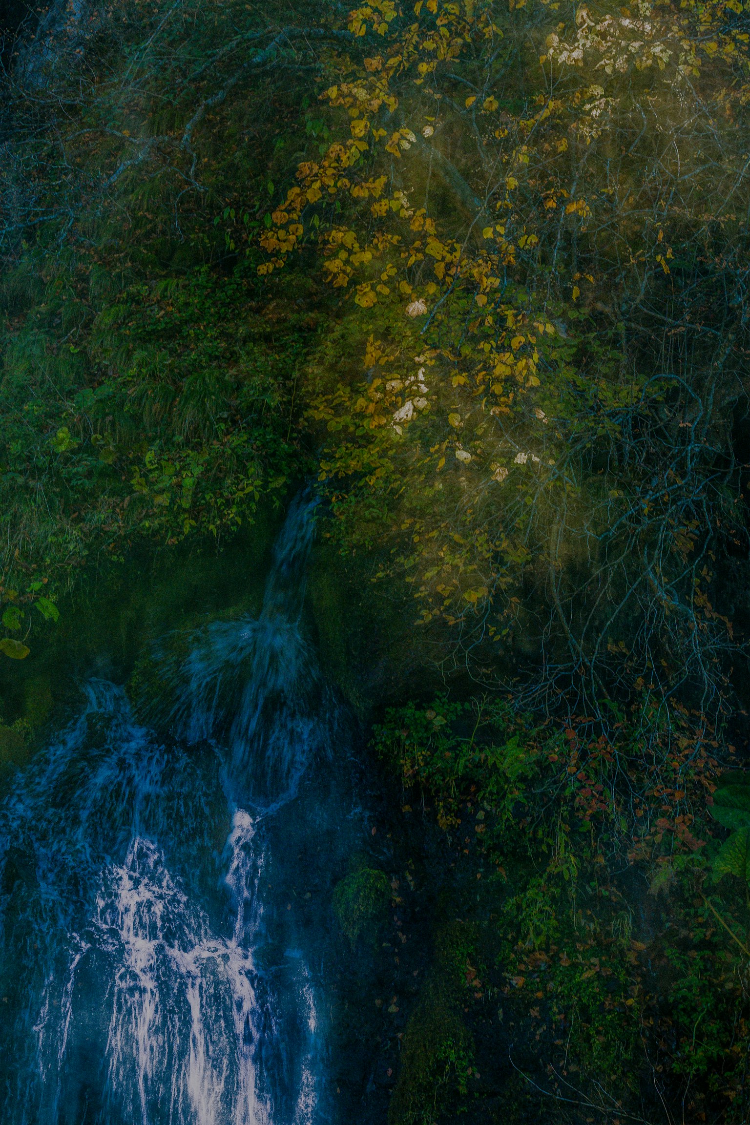 photo-dOVw4eX6q3aIcgXNW4k5-image