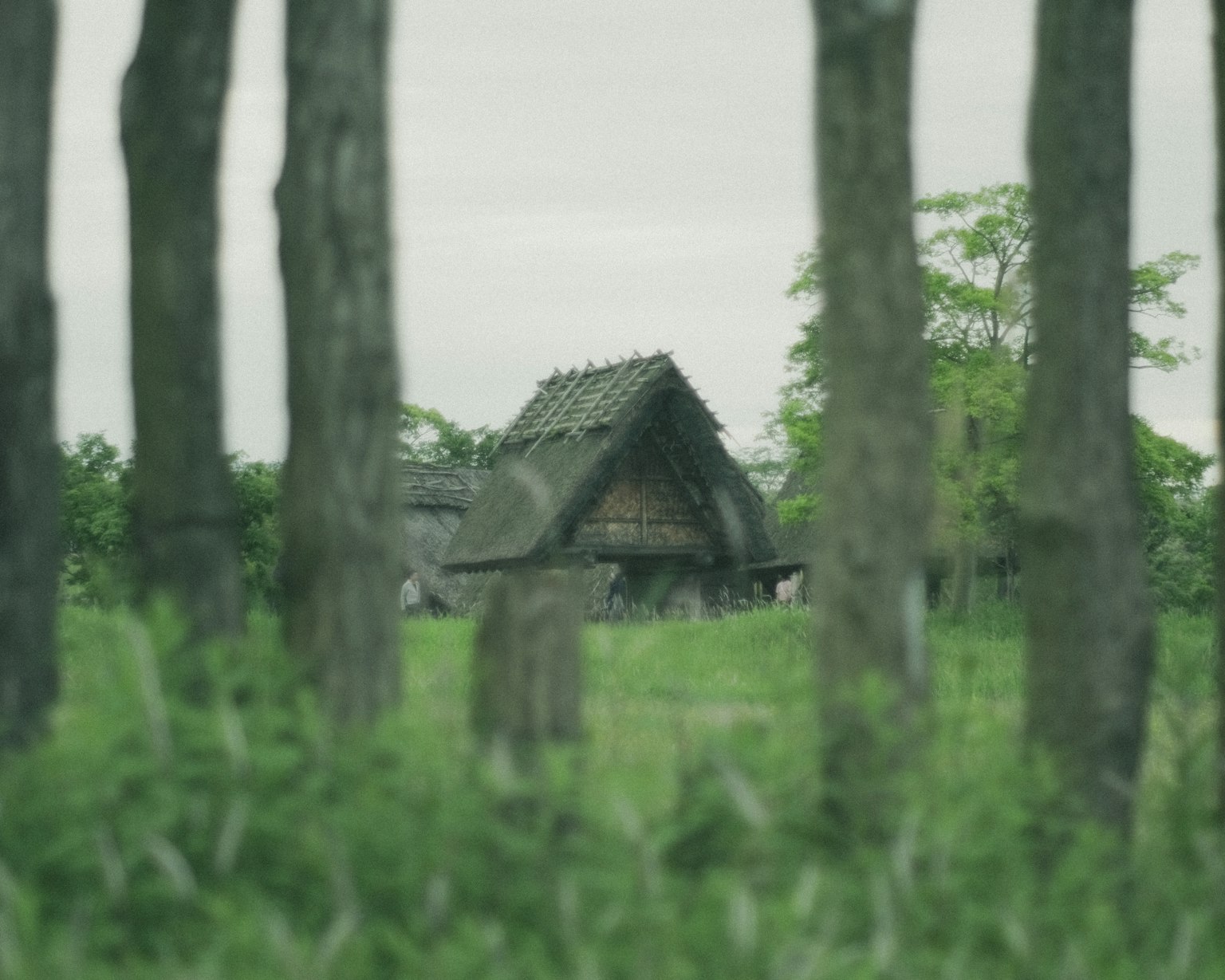 บ้านแบบดั้งเดิมล้อมรอบด้วยทุ่งหญ้าสีเขียวและต้นไม้