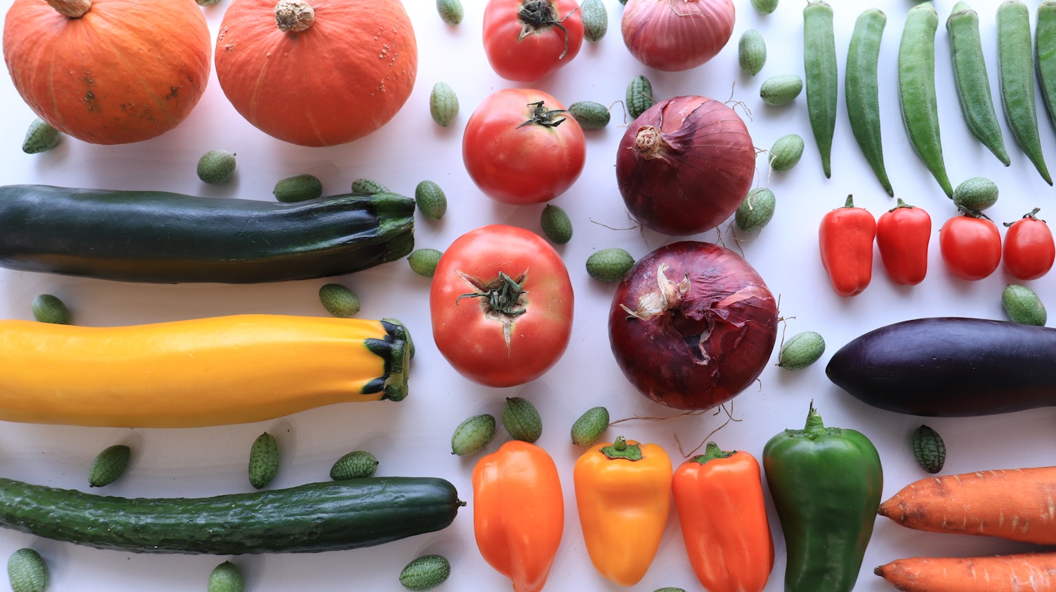 色彩丰富的蔬菜排列，包括南瓜、西红柿、 zucchini、辣椒和胡萝卜