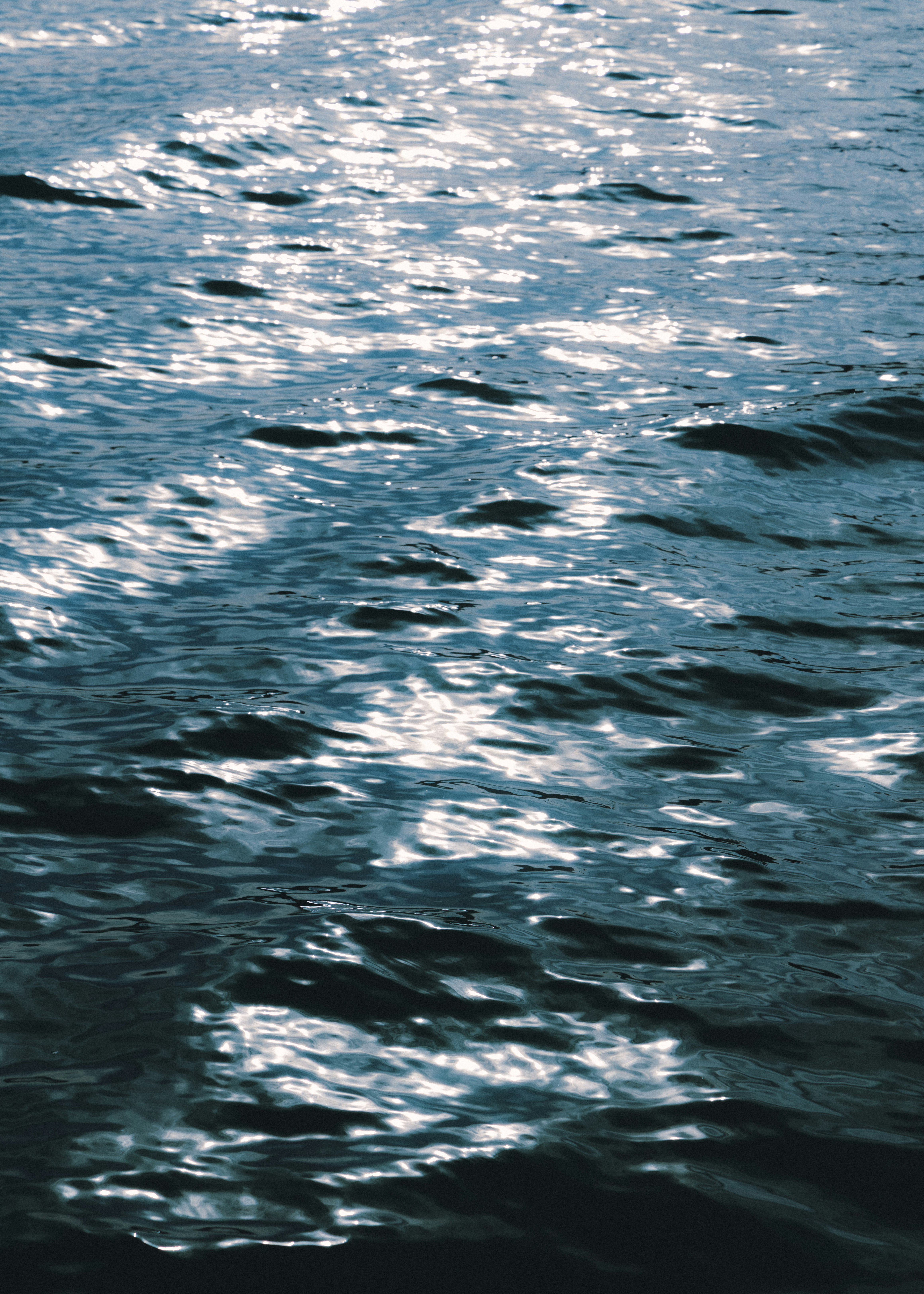 photo-dQezoubFY3VfcWXIU9lH-image