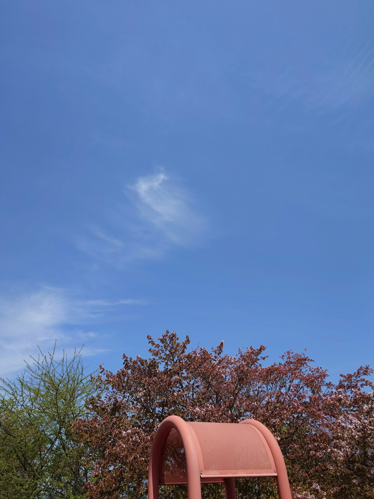 Scena di parco con cielo blu e albero di ciliegio rosa con struttura da gioco rossa