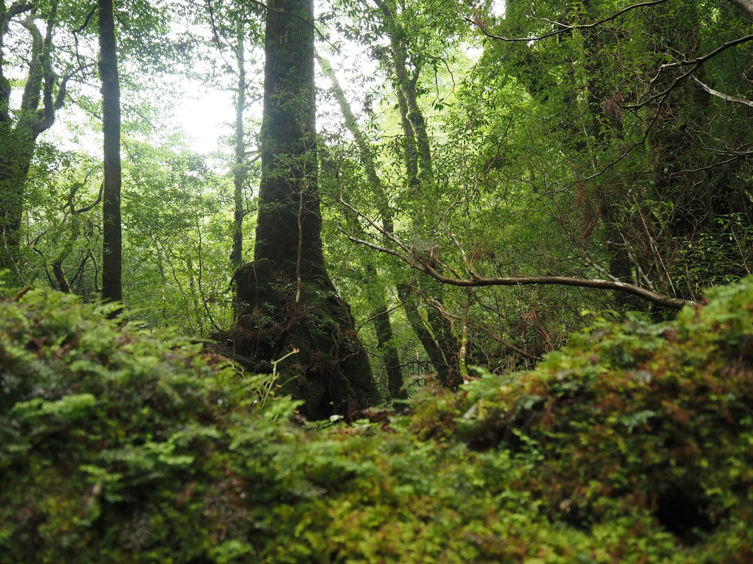 photo-dQkCZCP1nMf0FpFRivvy-image