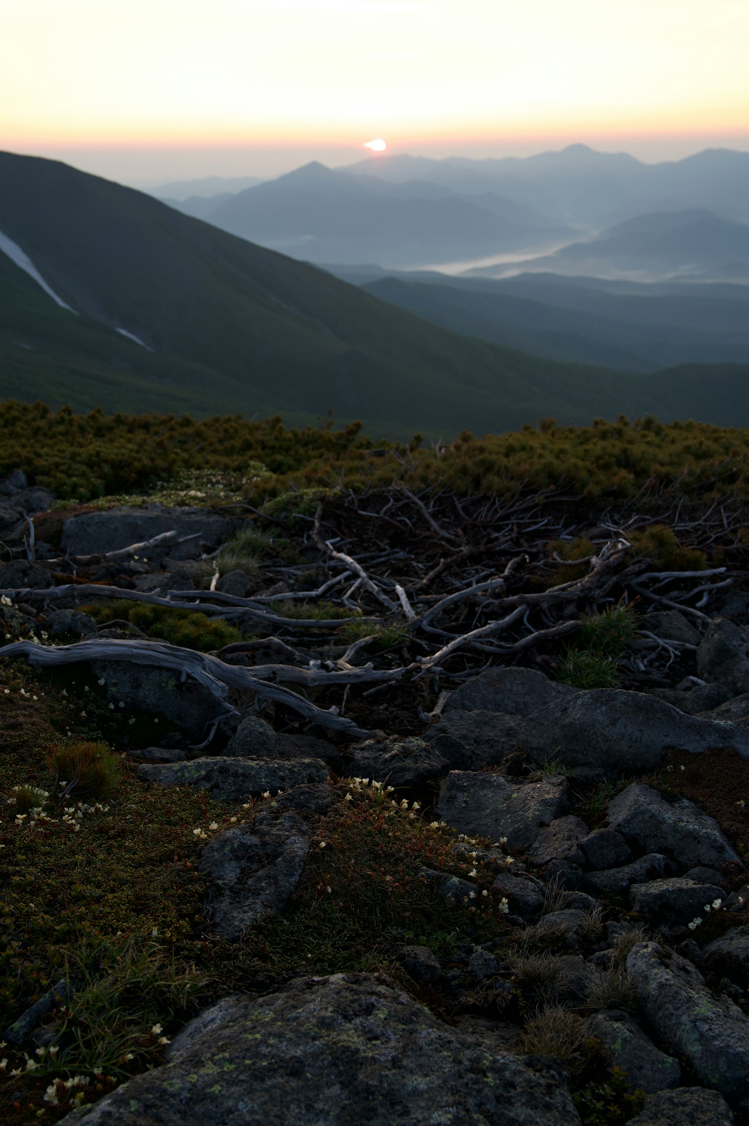 Paysage de montagne au coucher du soleil avec des racines d'arbres et des rochers
