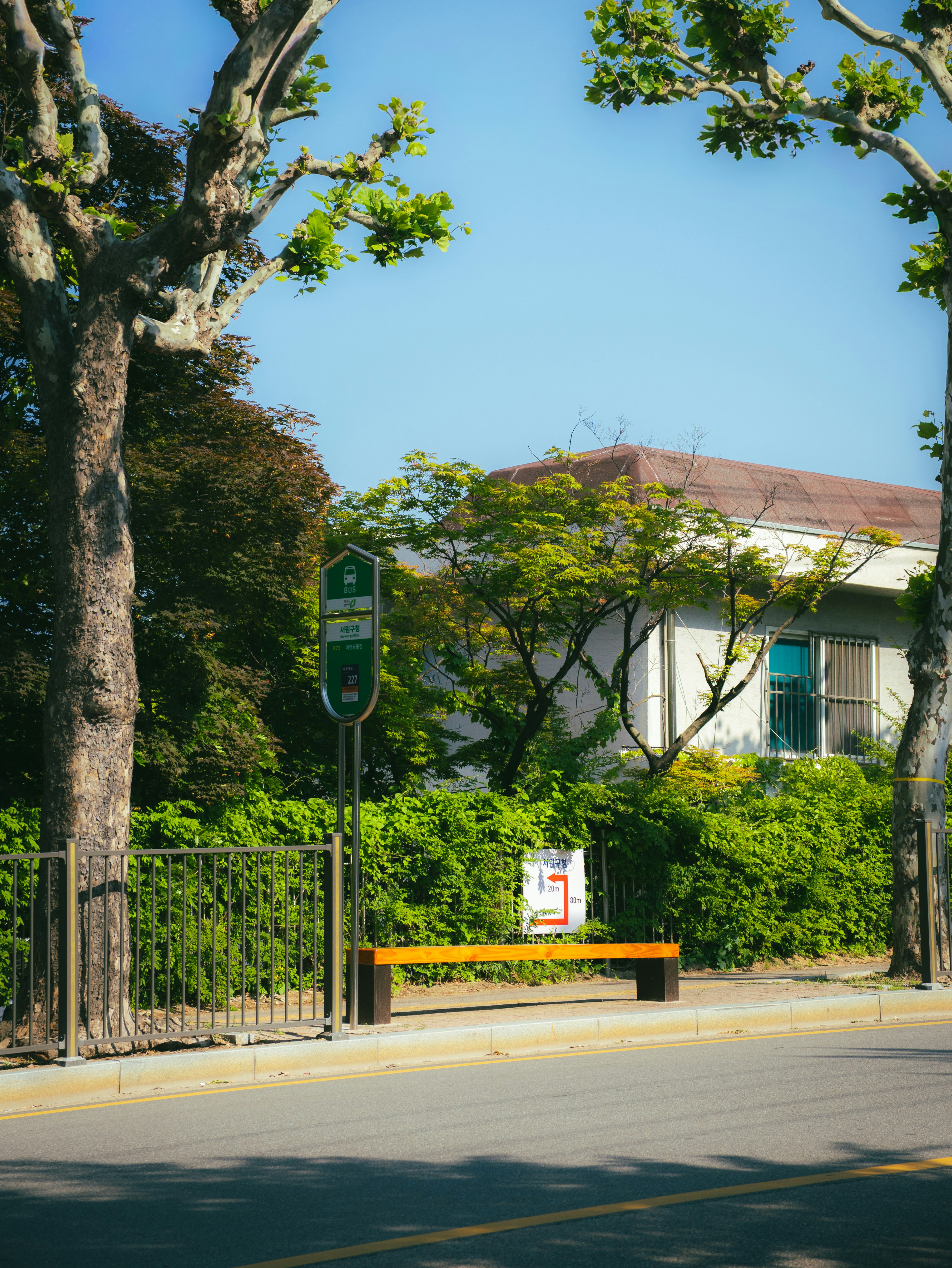 木々の並ぶ街路とフェンスのある建物の入口