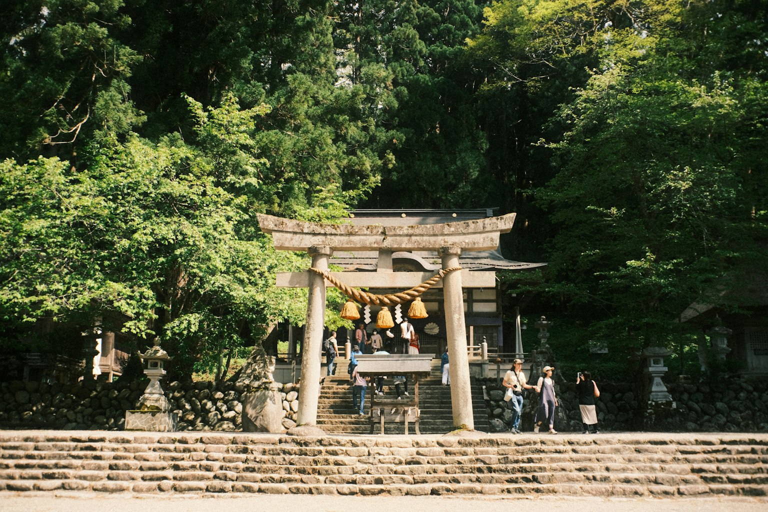 神社的鸟居被绿树环绕，游客在此