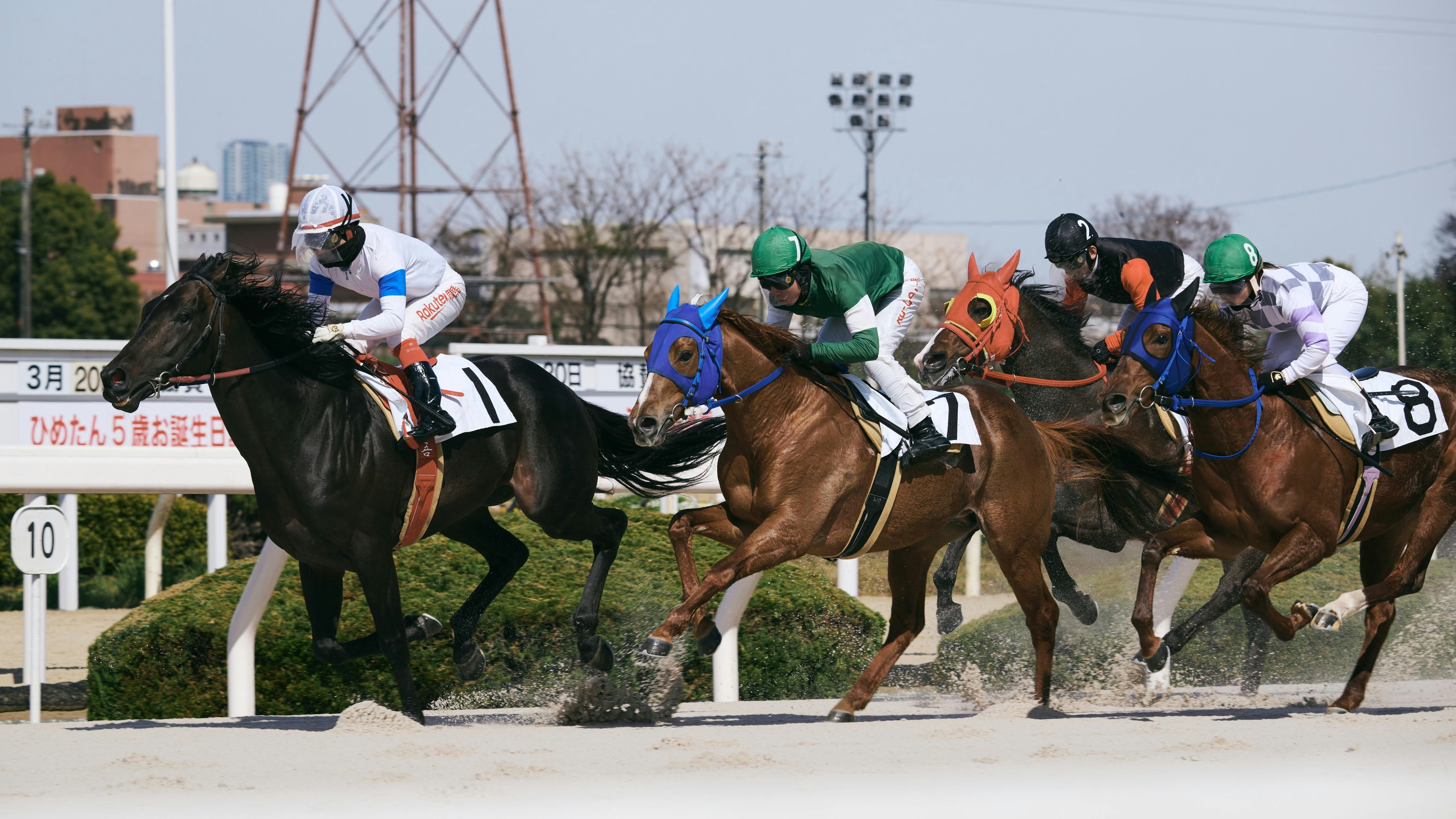 競馬場を駆ける馬と騎手の集団