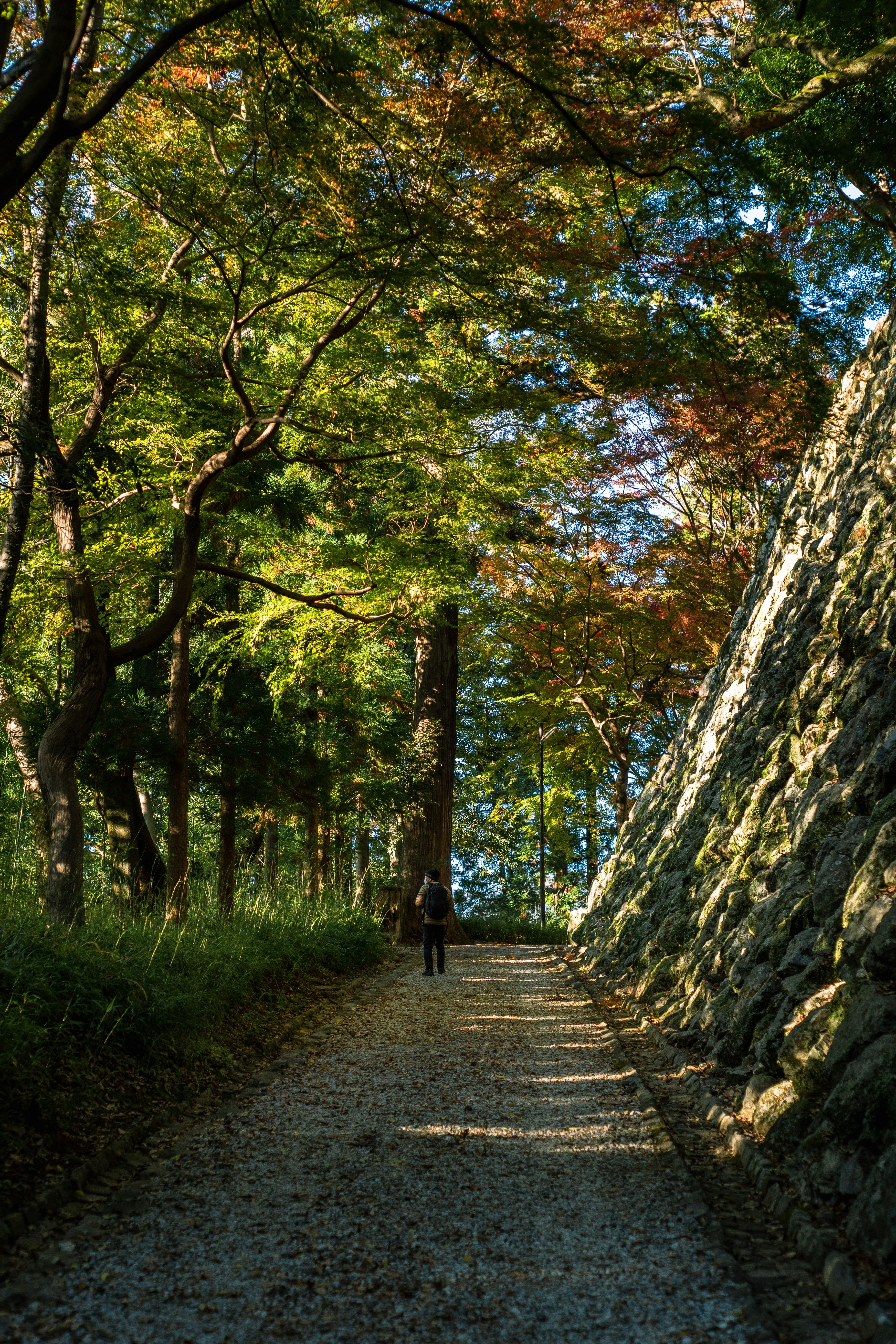 木々に囲まれた石垣の小道を歩く人