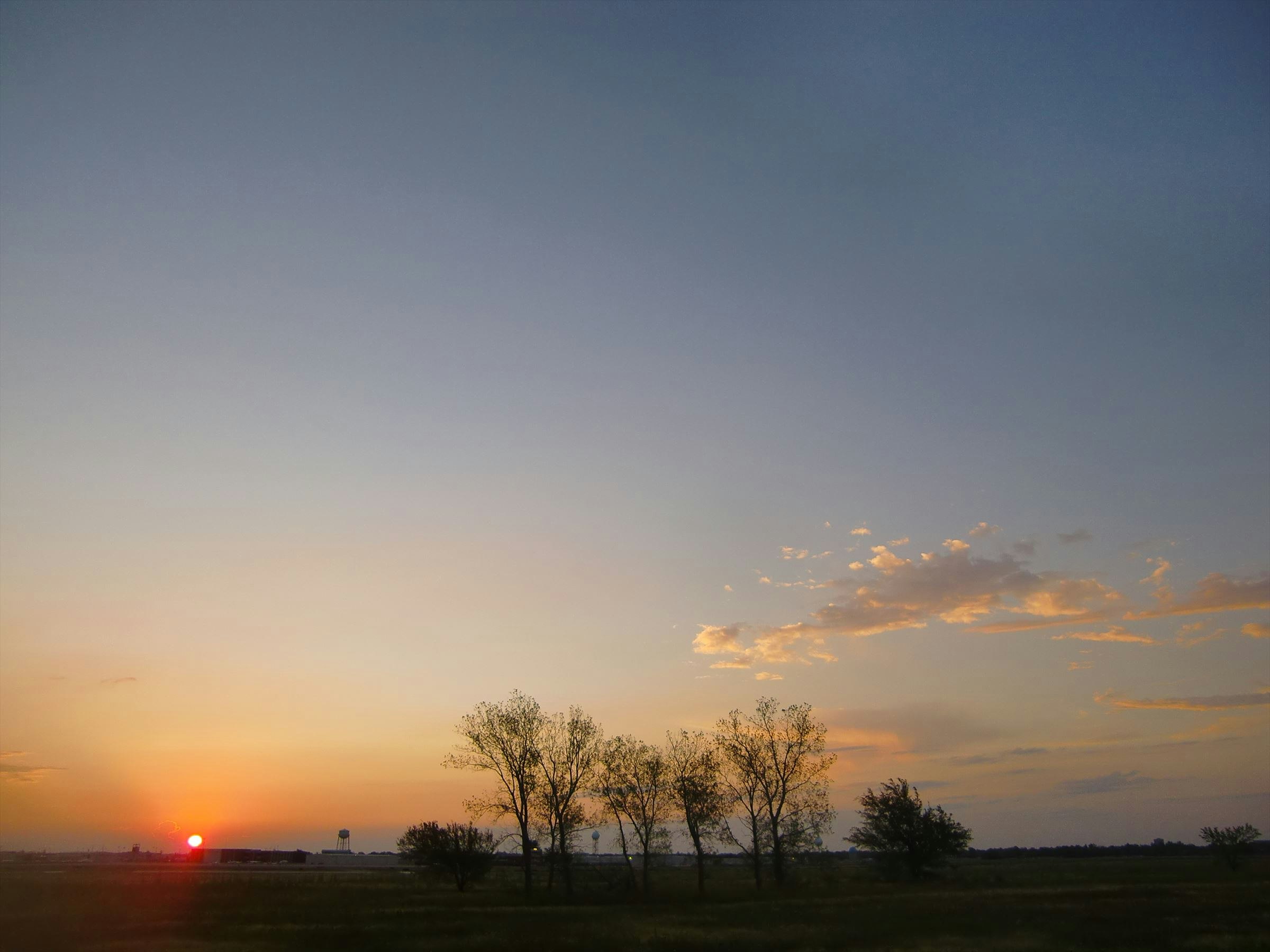 Sonnenuntergang am Horizont über Feldern mit einer Baumreihe