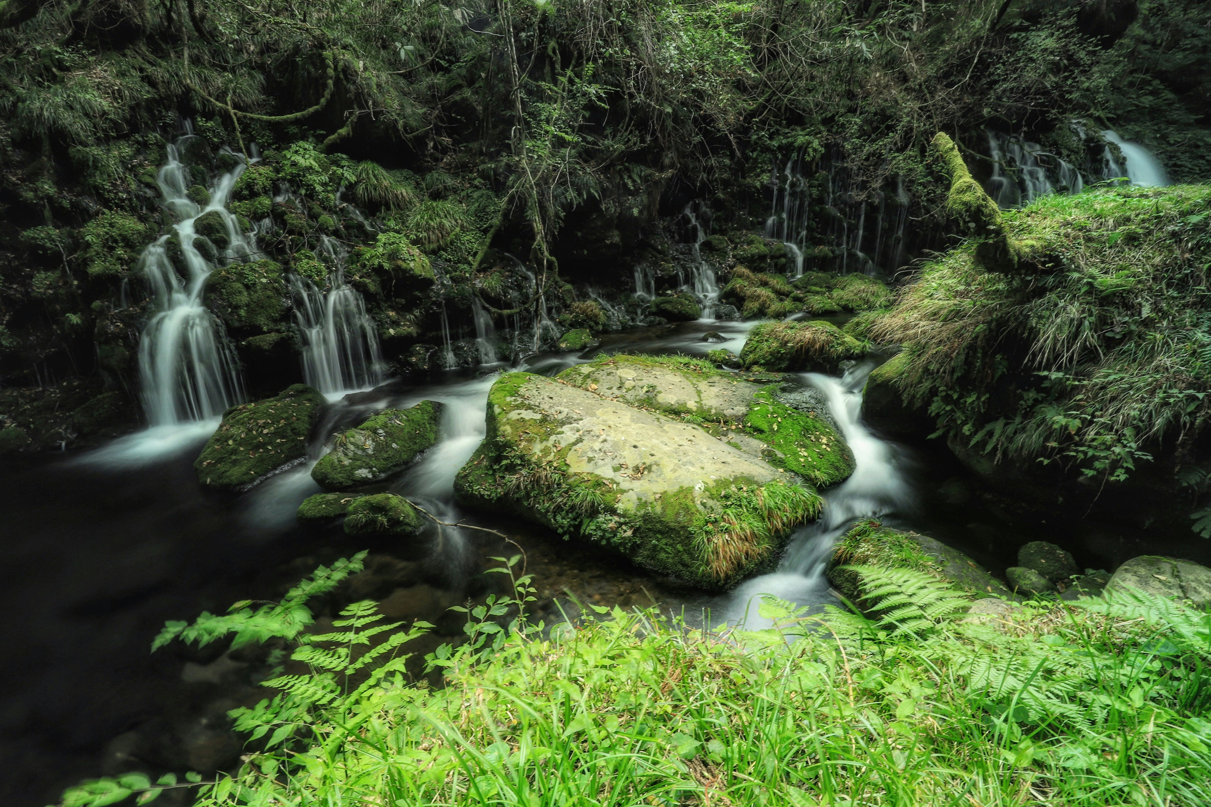 rocce ricoperte di muschio e piccole cascate in un ruscello nel bosco