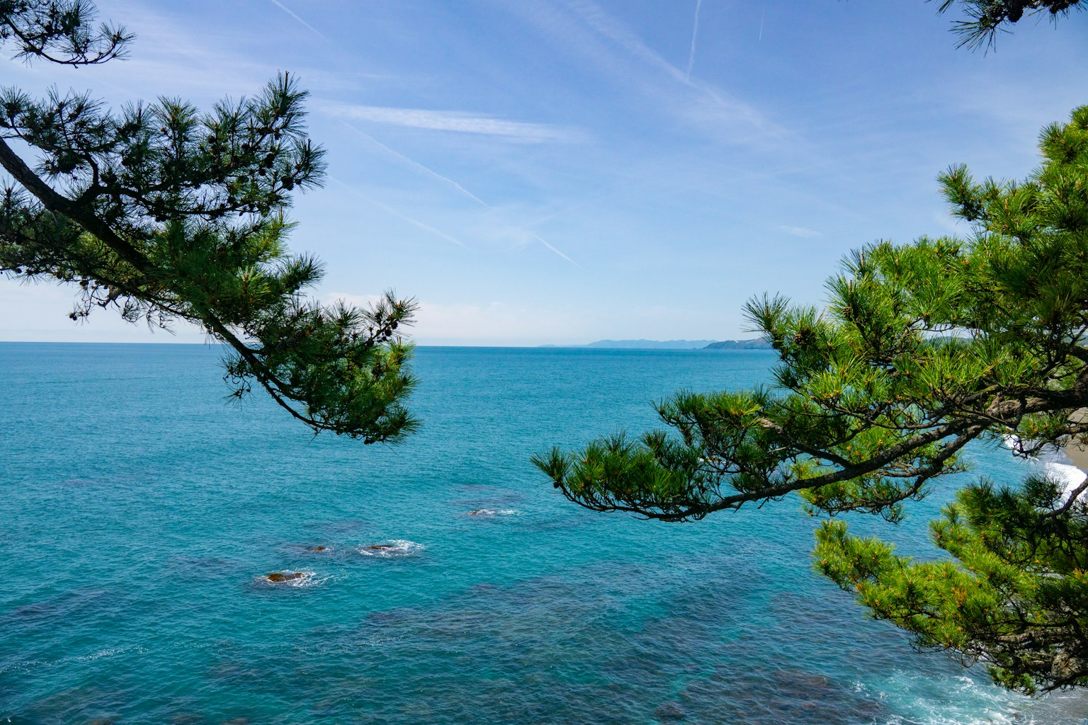 View of trees framing a turquoise sea and blue sky