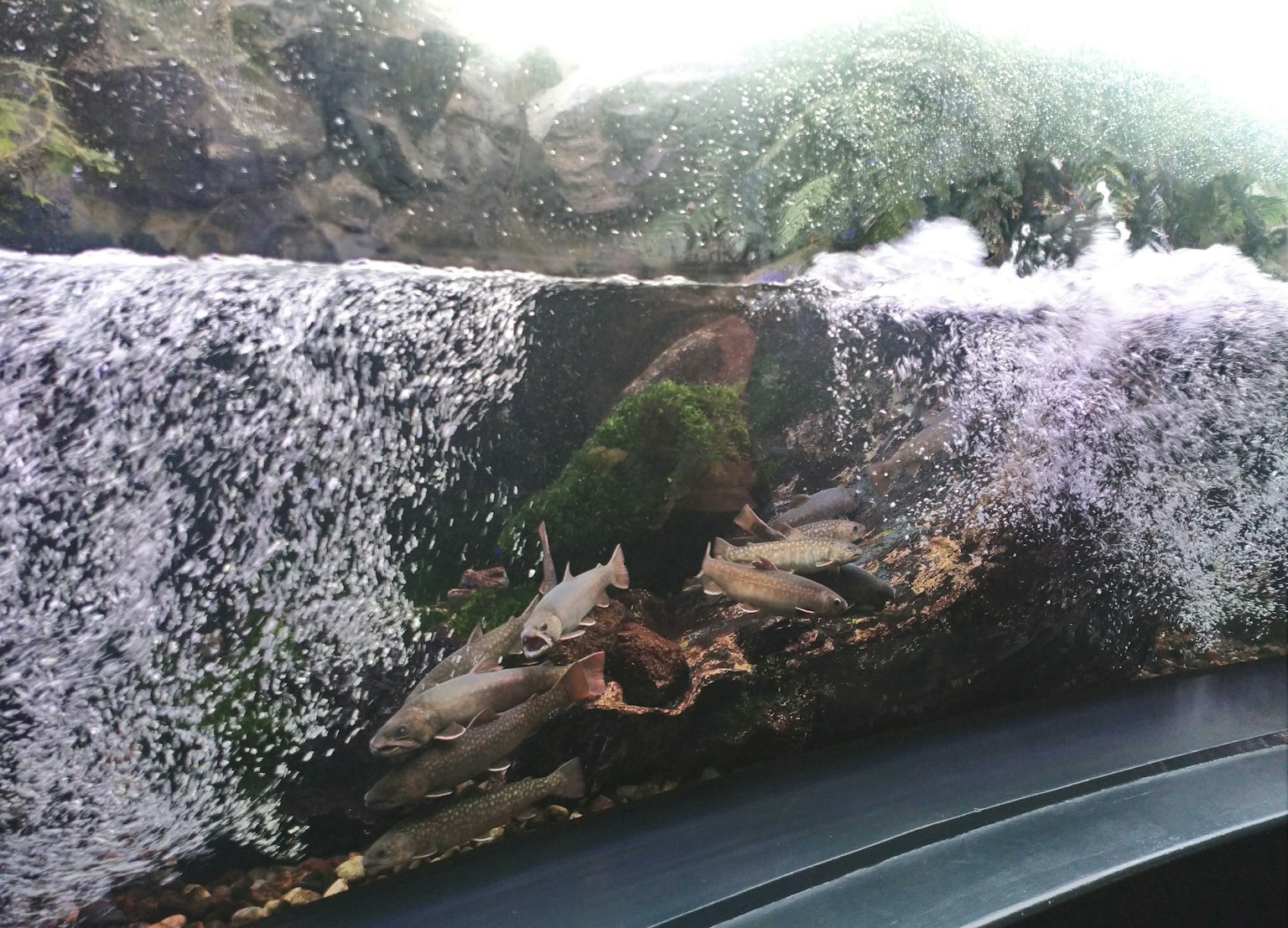 Blick auf fließendes Wasser und Felsen durch ein Fenster