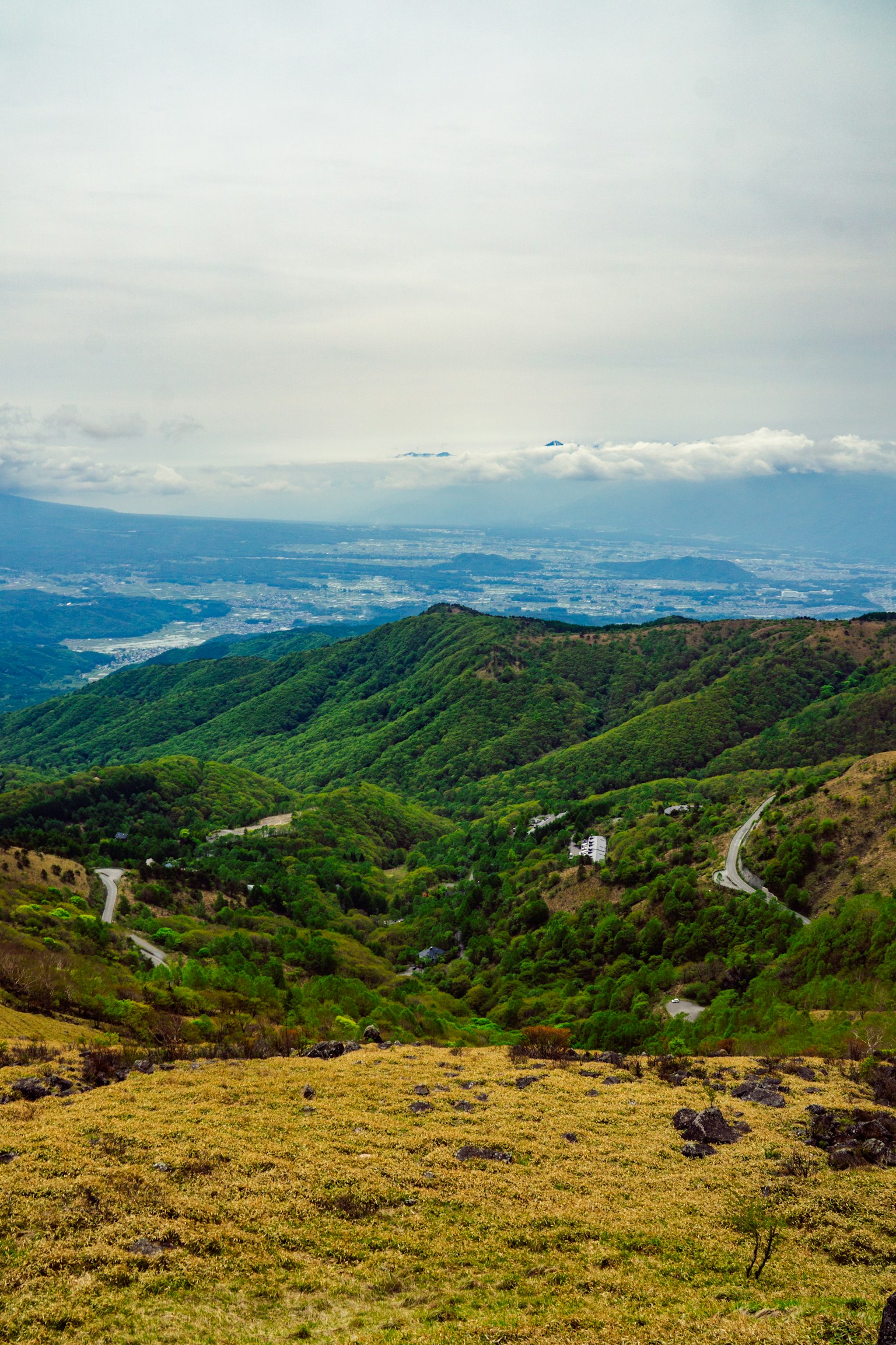 푸르고 울창한 계곡과 구불구불한 도로가 있는 풍경