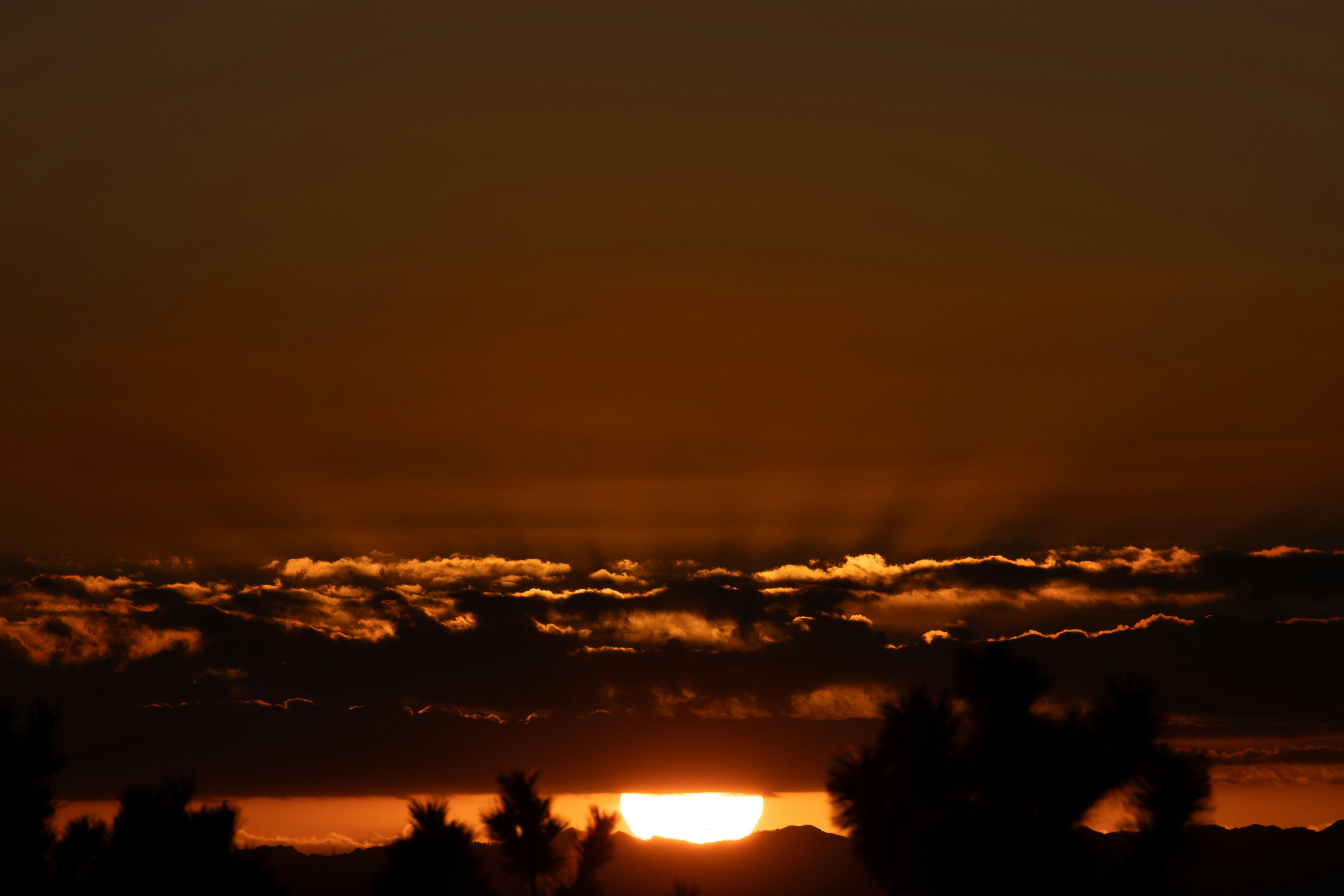 Beautiful sunset landscape with silhouetted trees and an orange sky