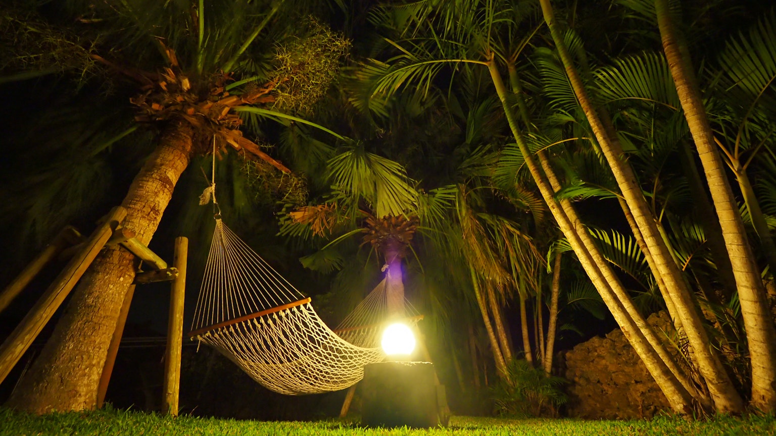 Hammock under palm trees in a nighttime jungle setting