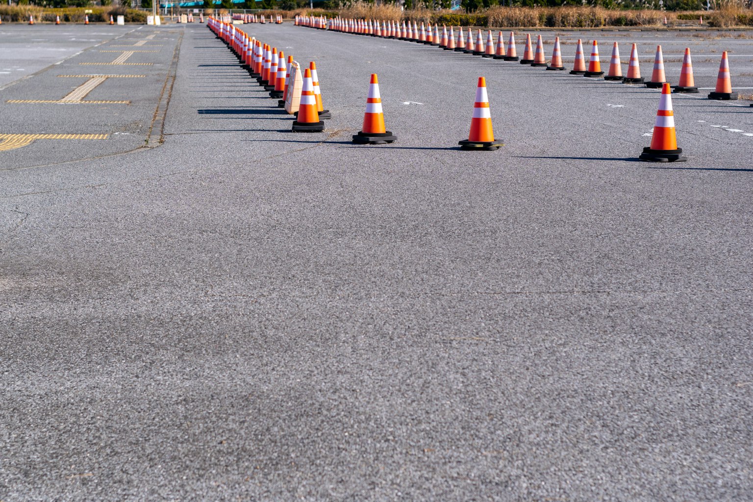 Une rangée de cônes de circulation orange et blancs alignés sur un pavé