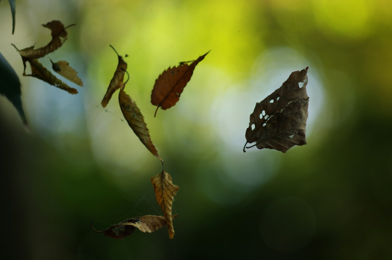 ダークグレーの背景にシンプルなデザイン