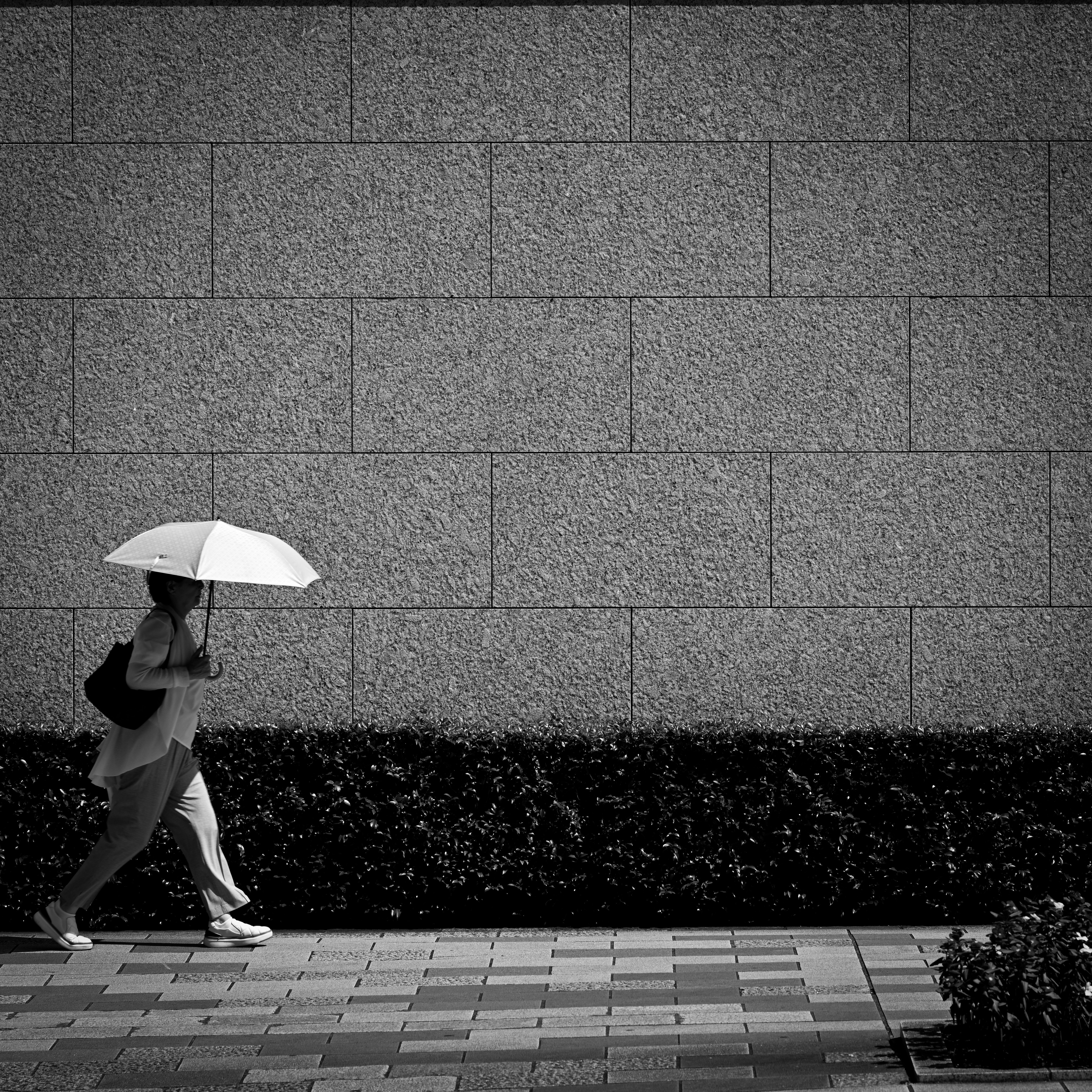 日傘をさした歩行者がモノクロの壁沿いを歩く