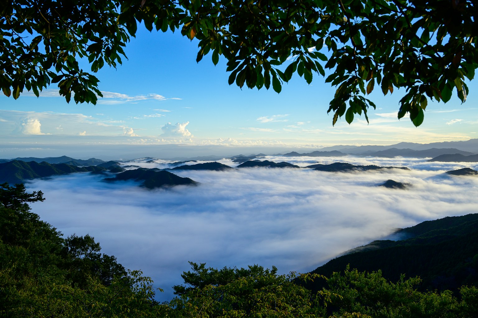 Mountain landscape surrounded by blue sky and sea of clouds