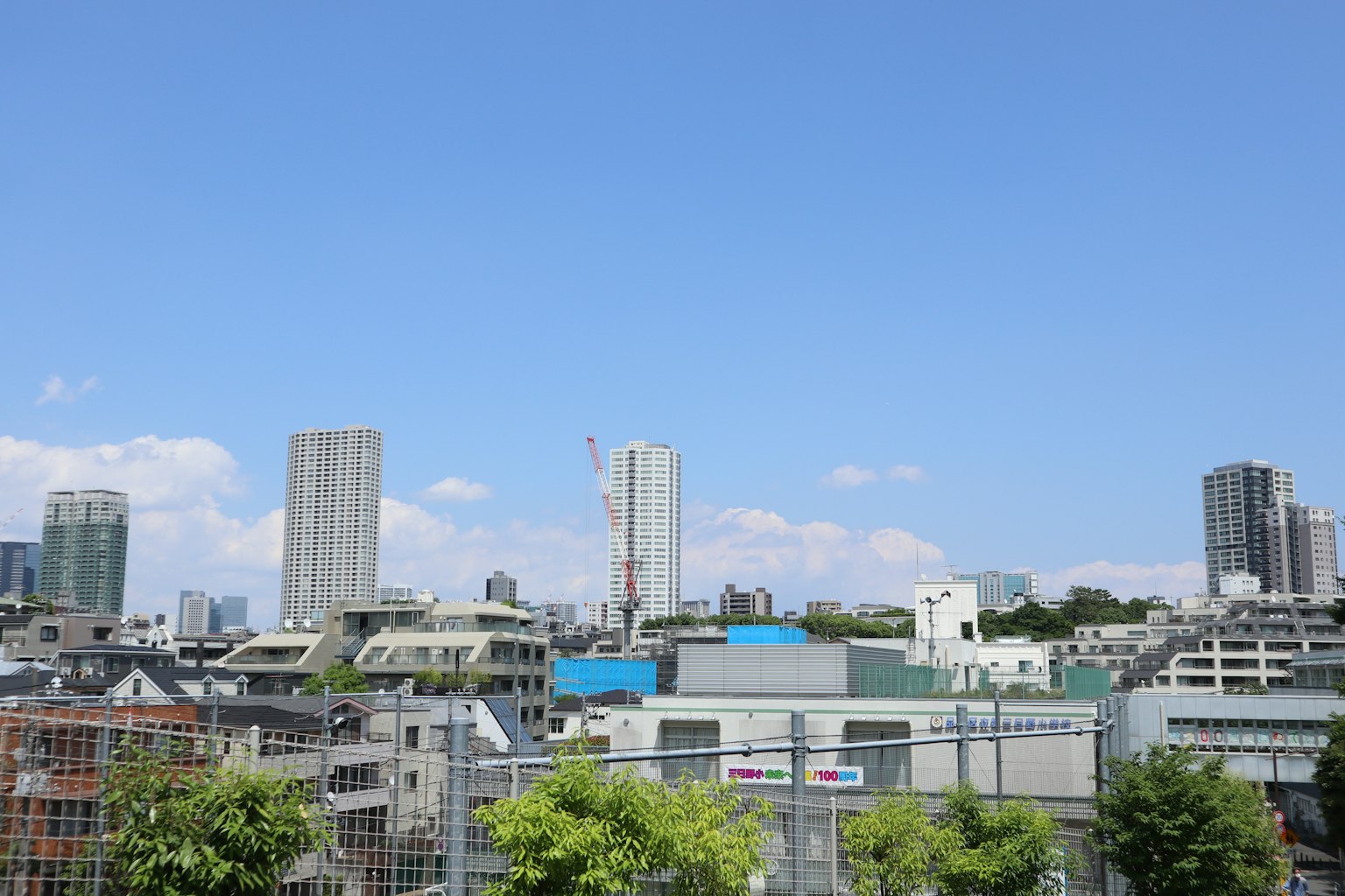 ทิวทัศน์เมืองที่มีตึกสูงใต้ท้องฟ้าสีฟ้าและพืชสีเขียวในพื้นหน้า