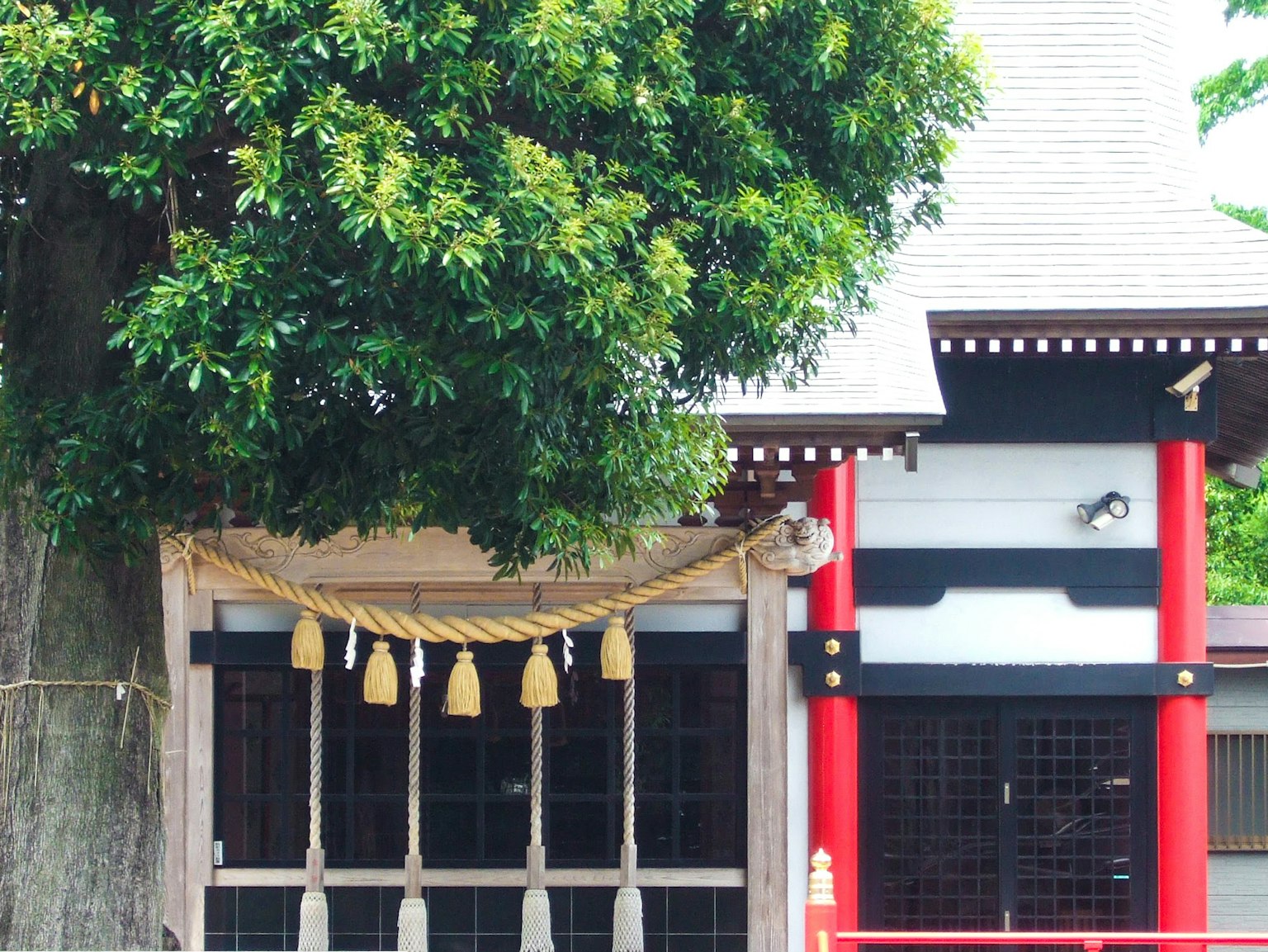 Partie d'un sanctuaire avec un grand arbre et une architecture traditionnelle