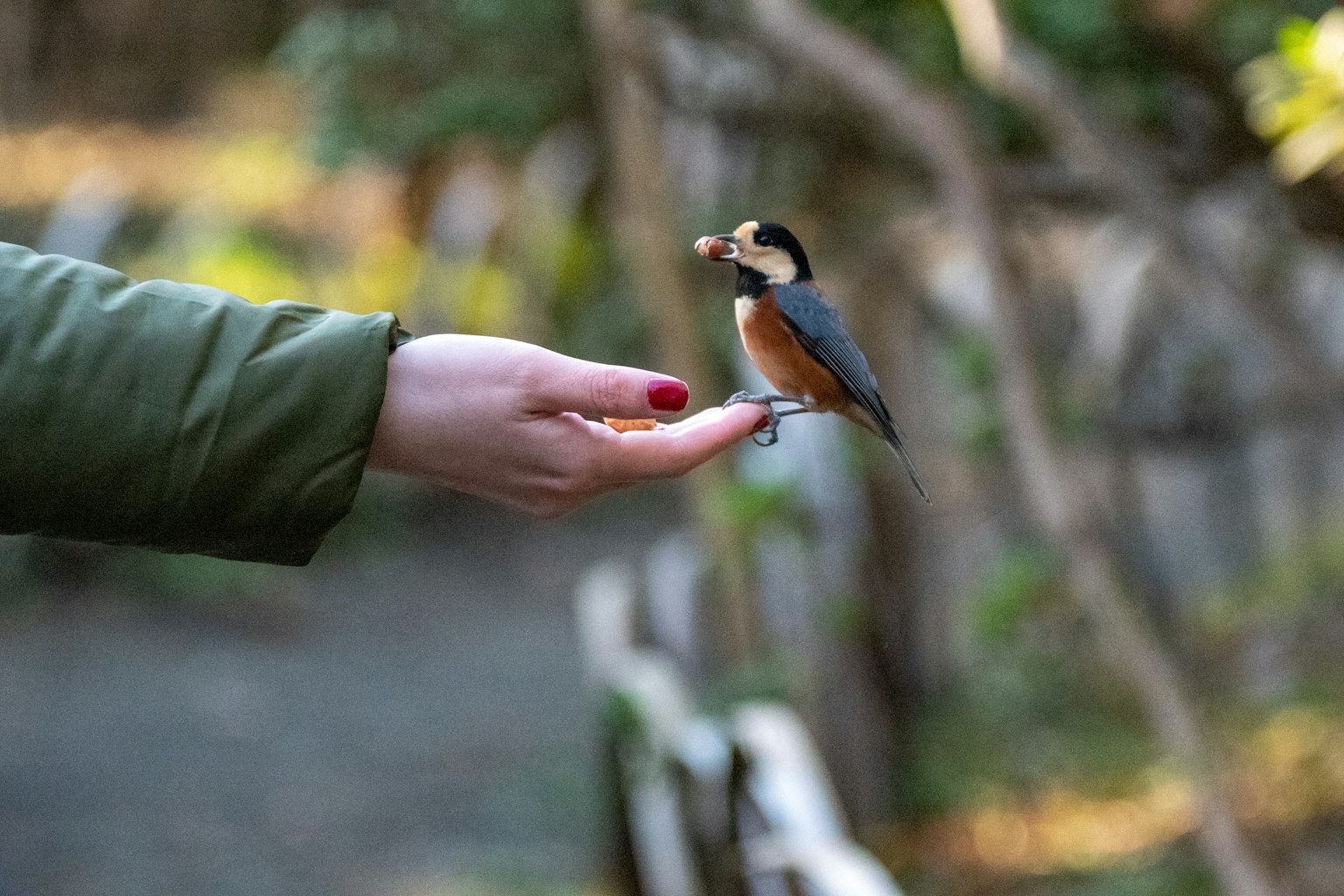 Un piccolo uccello posato su una mano tesa con uno sfondo naturale