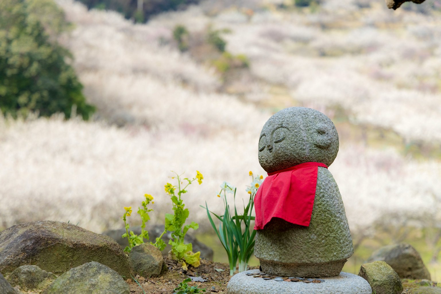 Jizo in pietra con una sciarpa rossa e un campo di fiori sullo sfondo