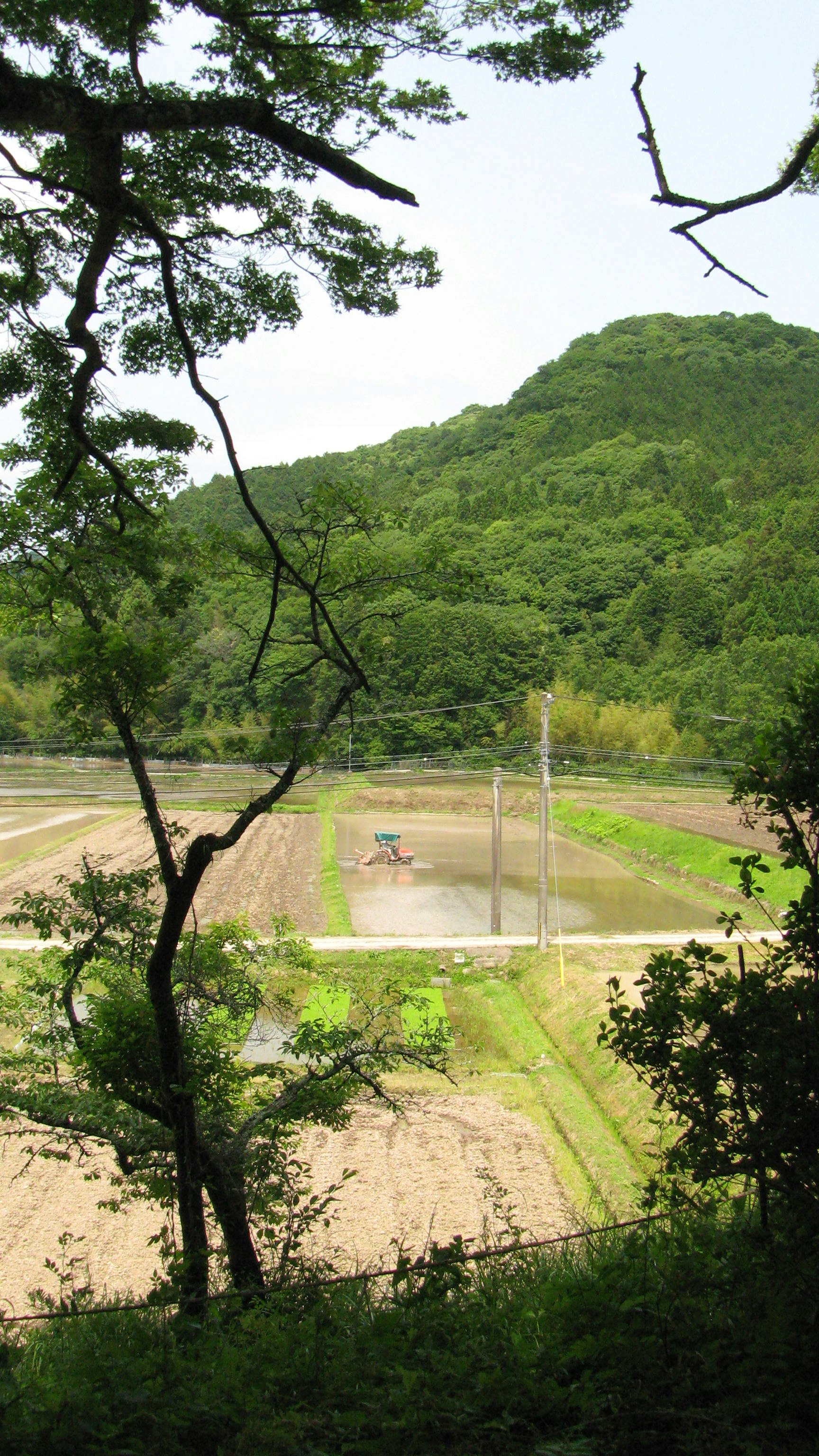 peaceful countryside landscape with green hills and a river