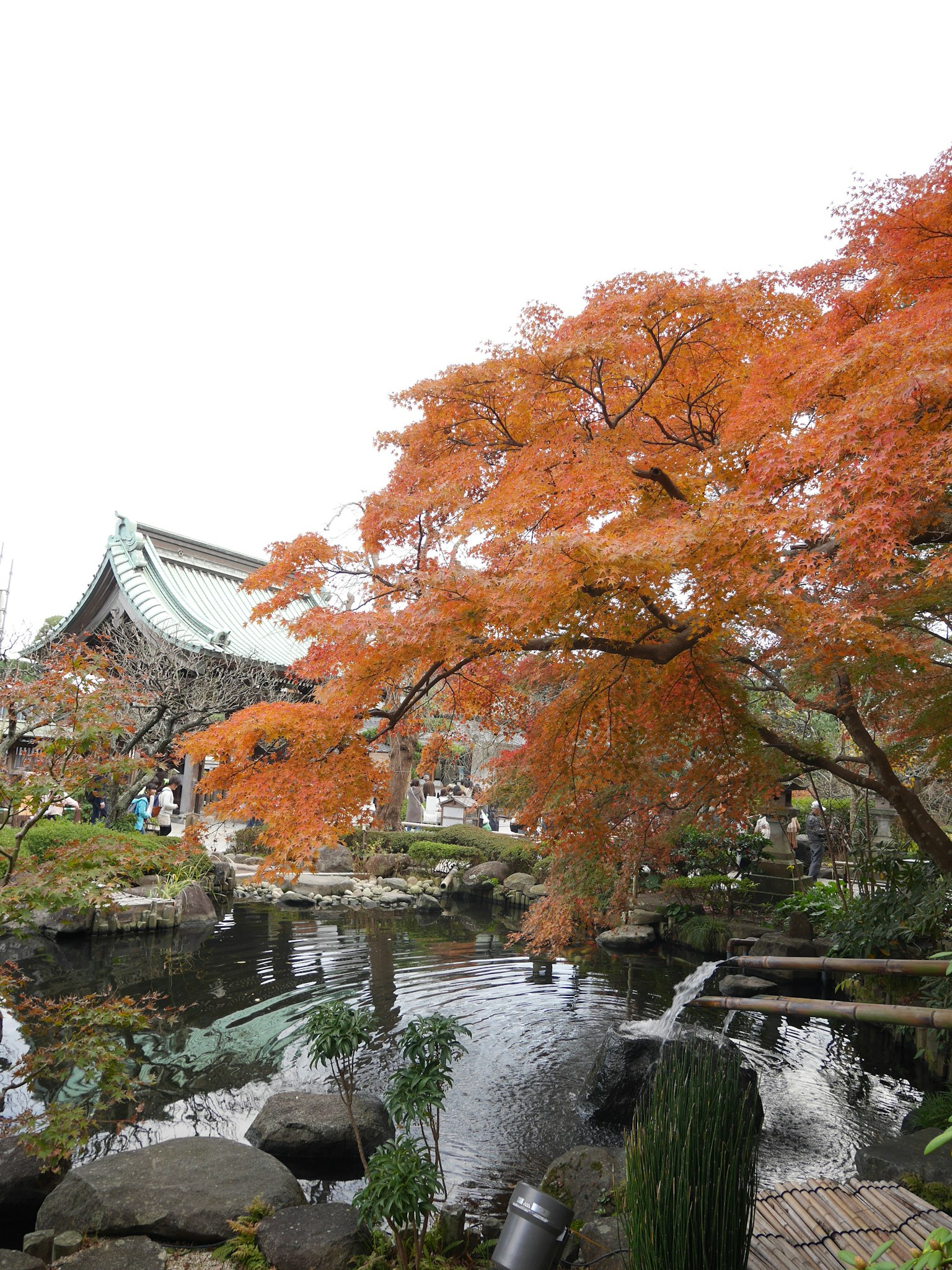 日本庭园的美丽秋季景观，色彩鲜艳的落叶