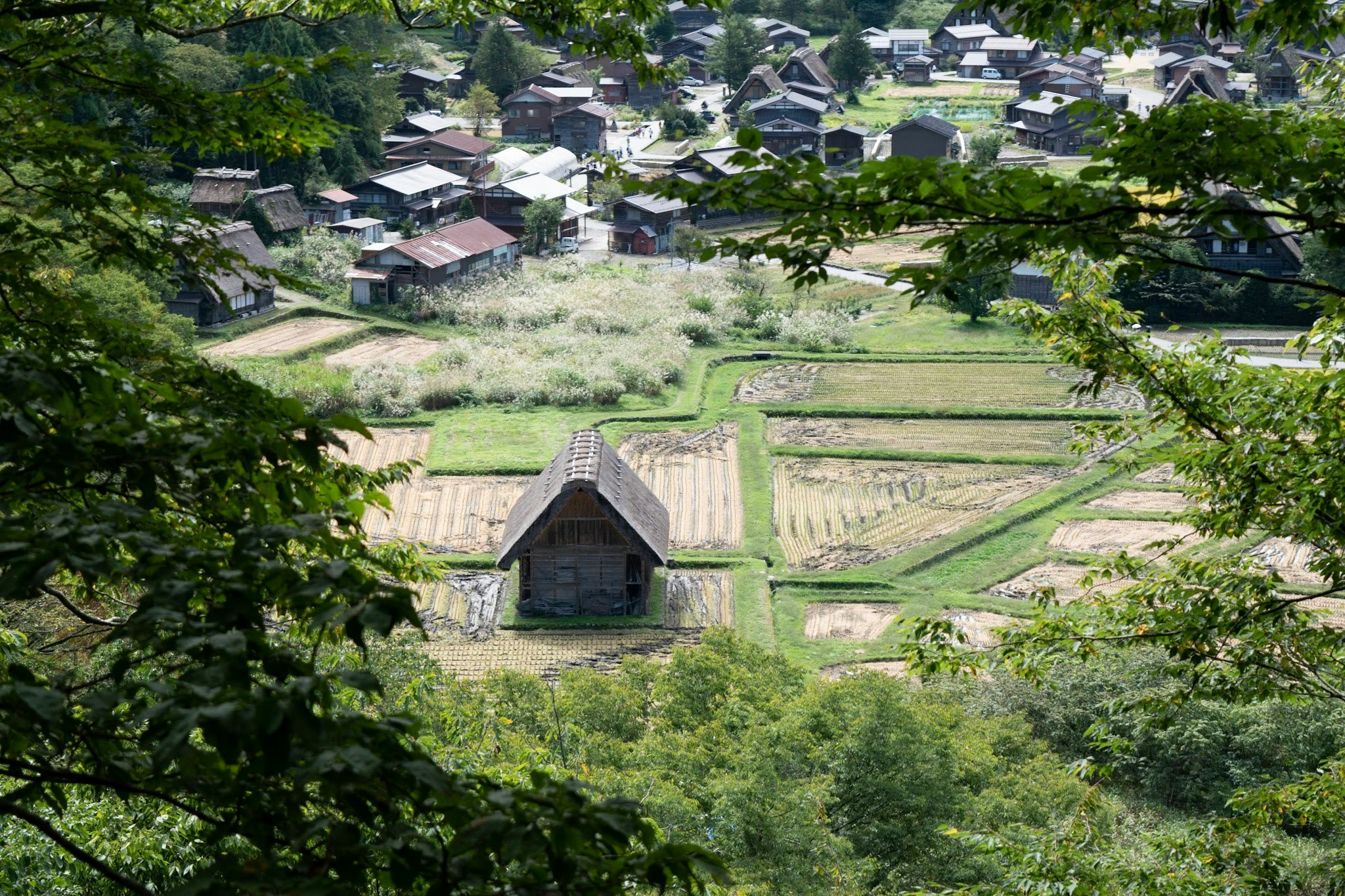从青翠山坡俯瞰梯田与村落景观
