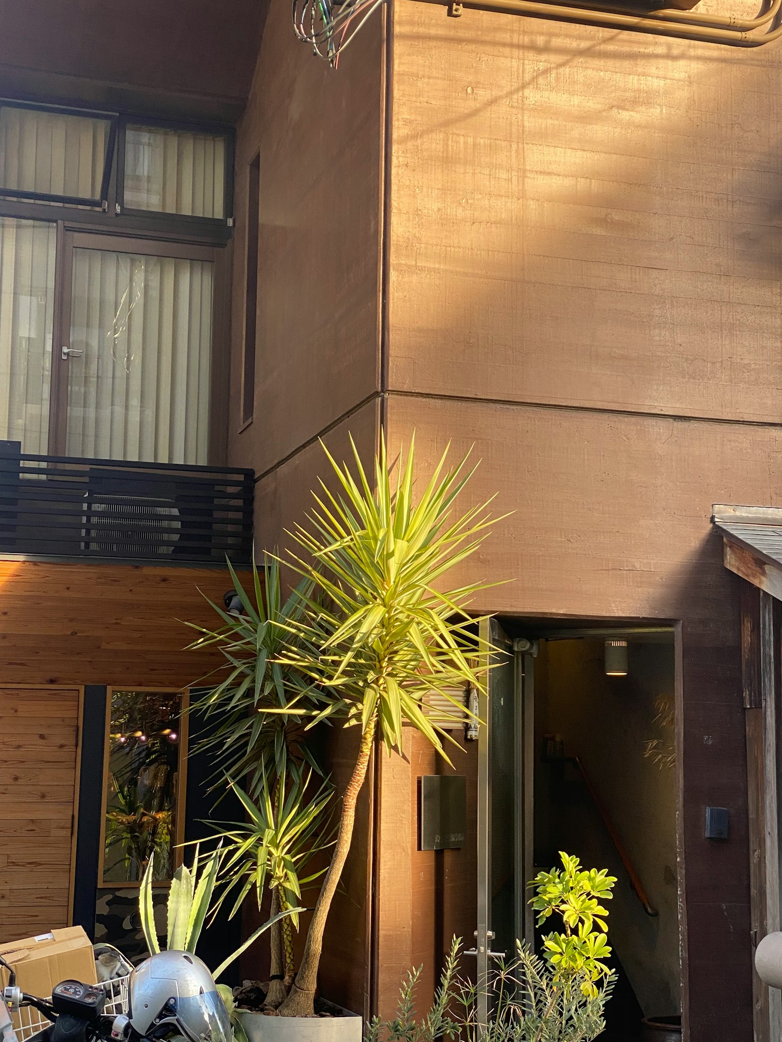 Extérieur moderne d'un bâtiment avec verdure et plantes