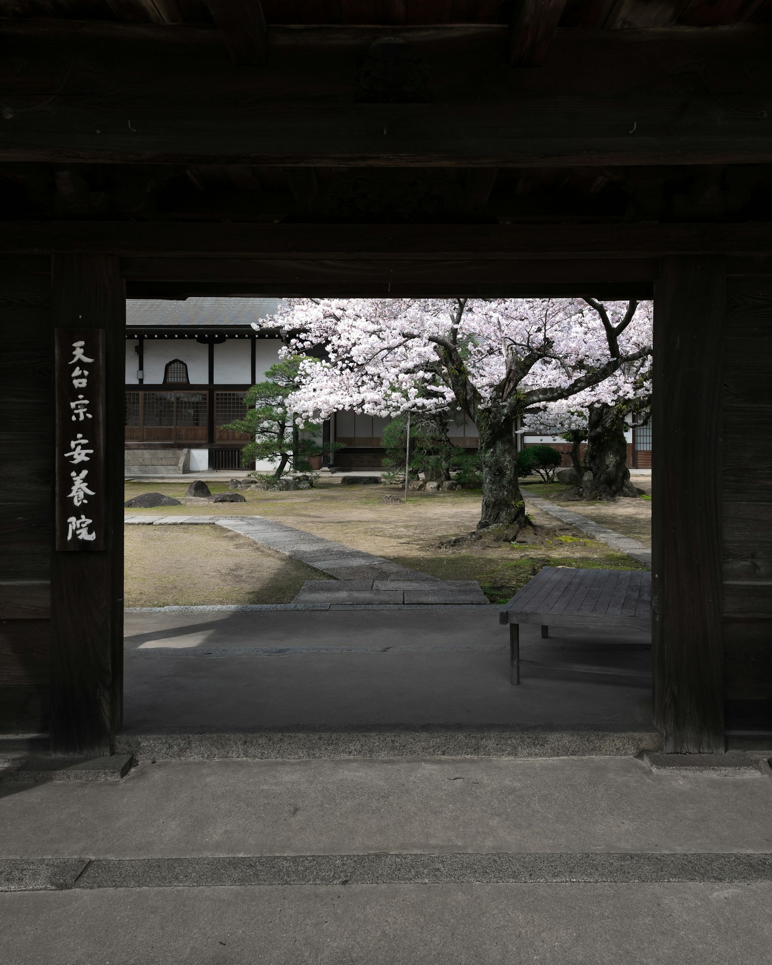 View of a Japanese garden featuring a cherry blossom tree seen through an old building's entrance