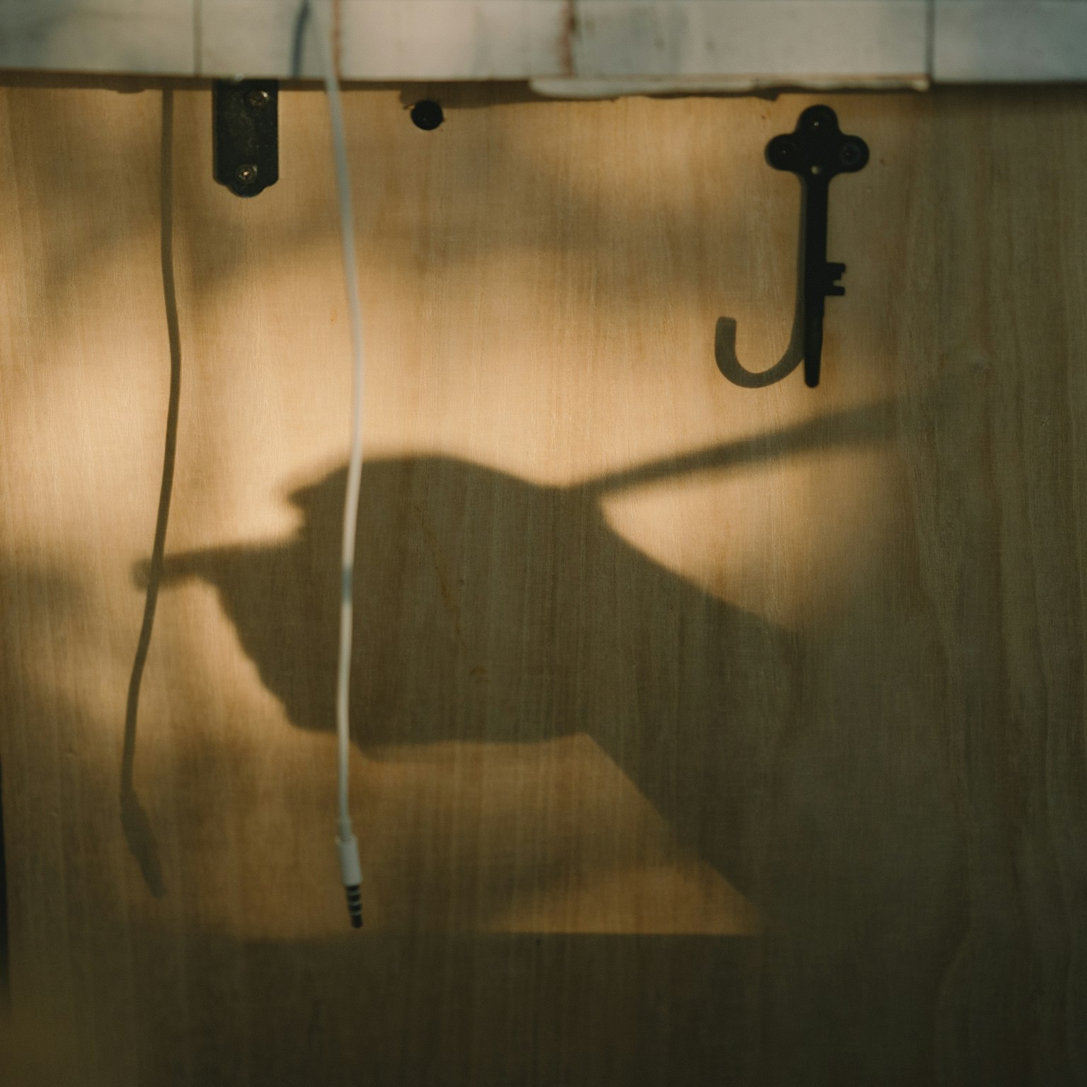A shadow of a hand holding a stick against a wooden background with a hook