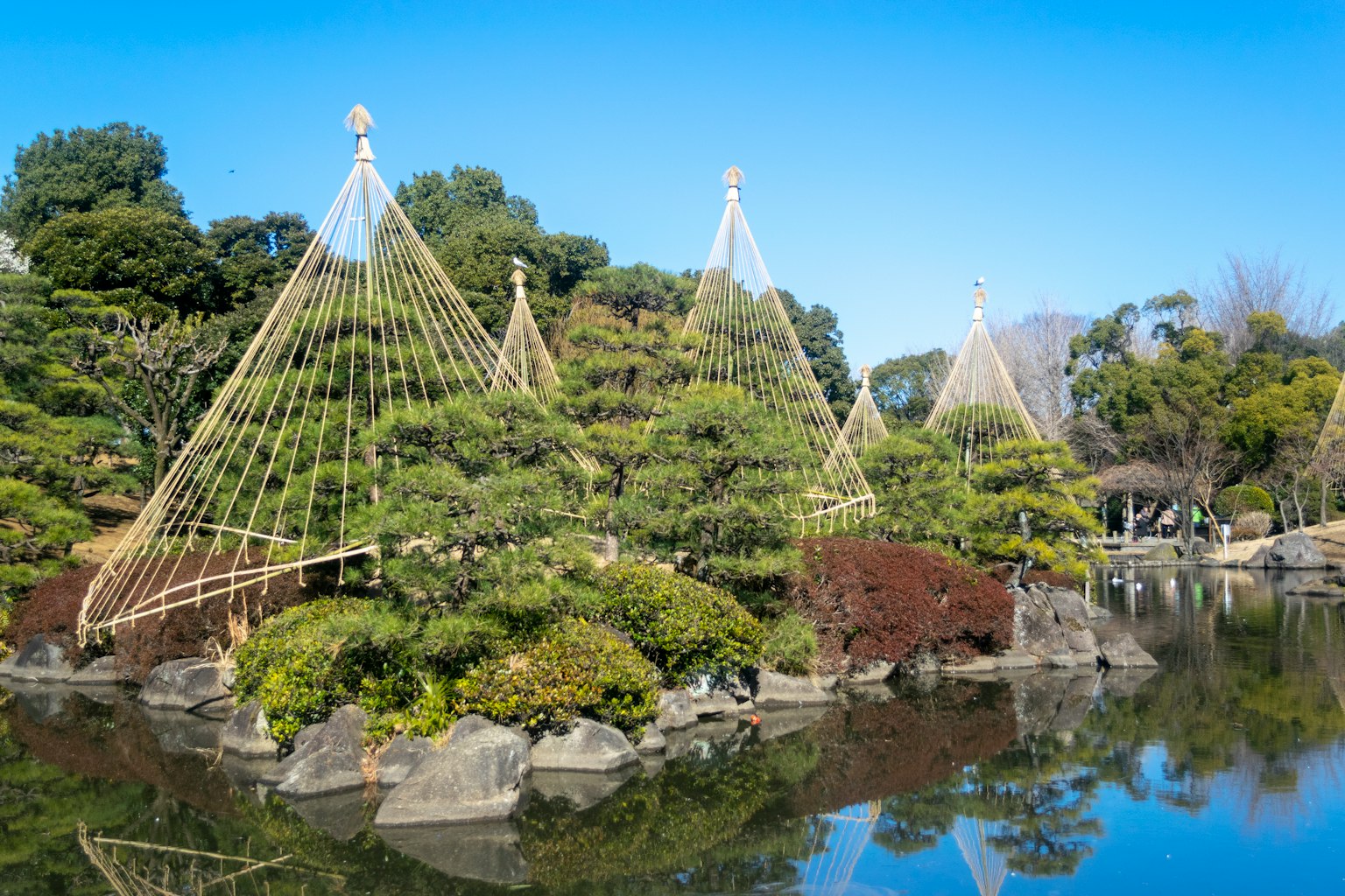Pemandangan taman Jepang yang indah dengan kolam dan vegetasi subur dengan penyangga bambu yang terlihat