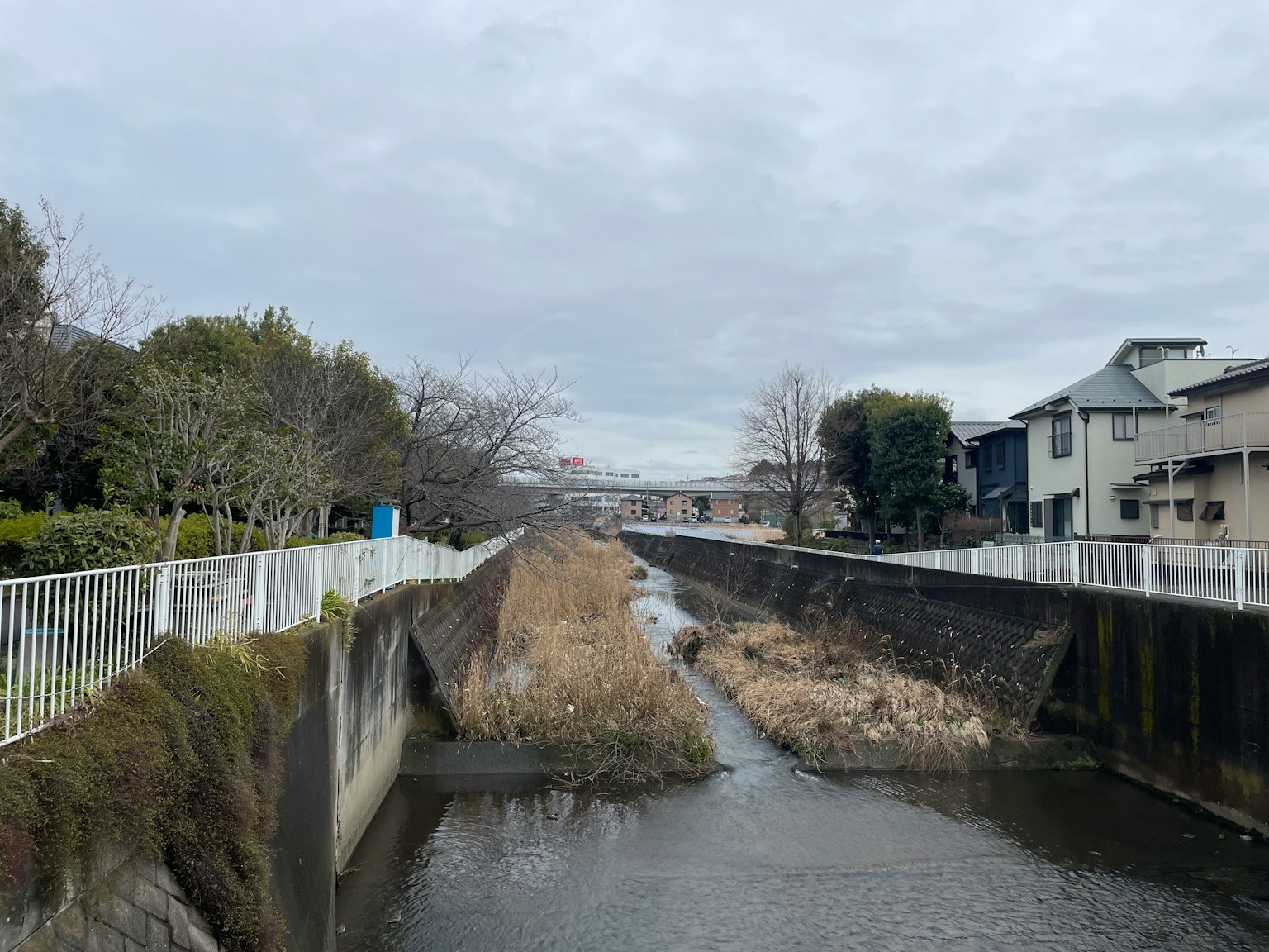 photo-dX7BfgUcwT1qNV5OVo2f-image