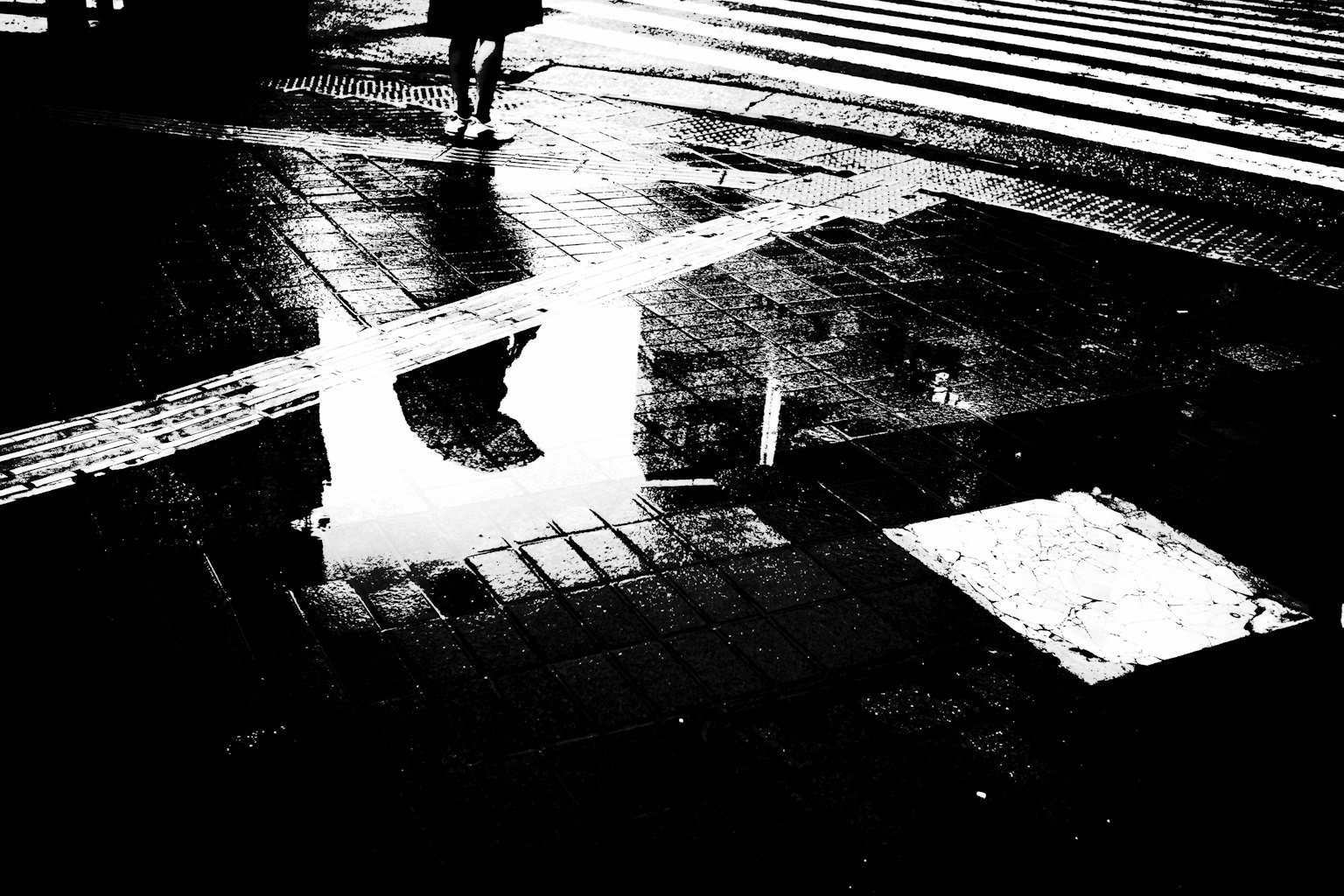 Wet pavement reflecting a crosswalk after rain