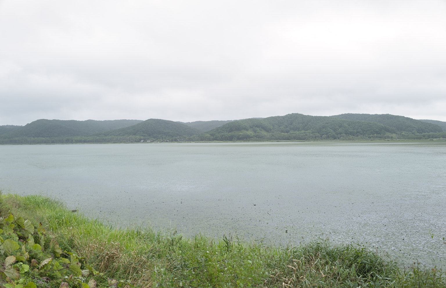 lago tranquilo con pradera verde y colinas distantes