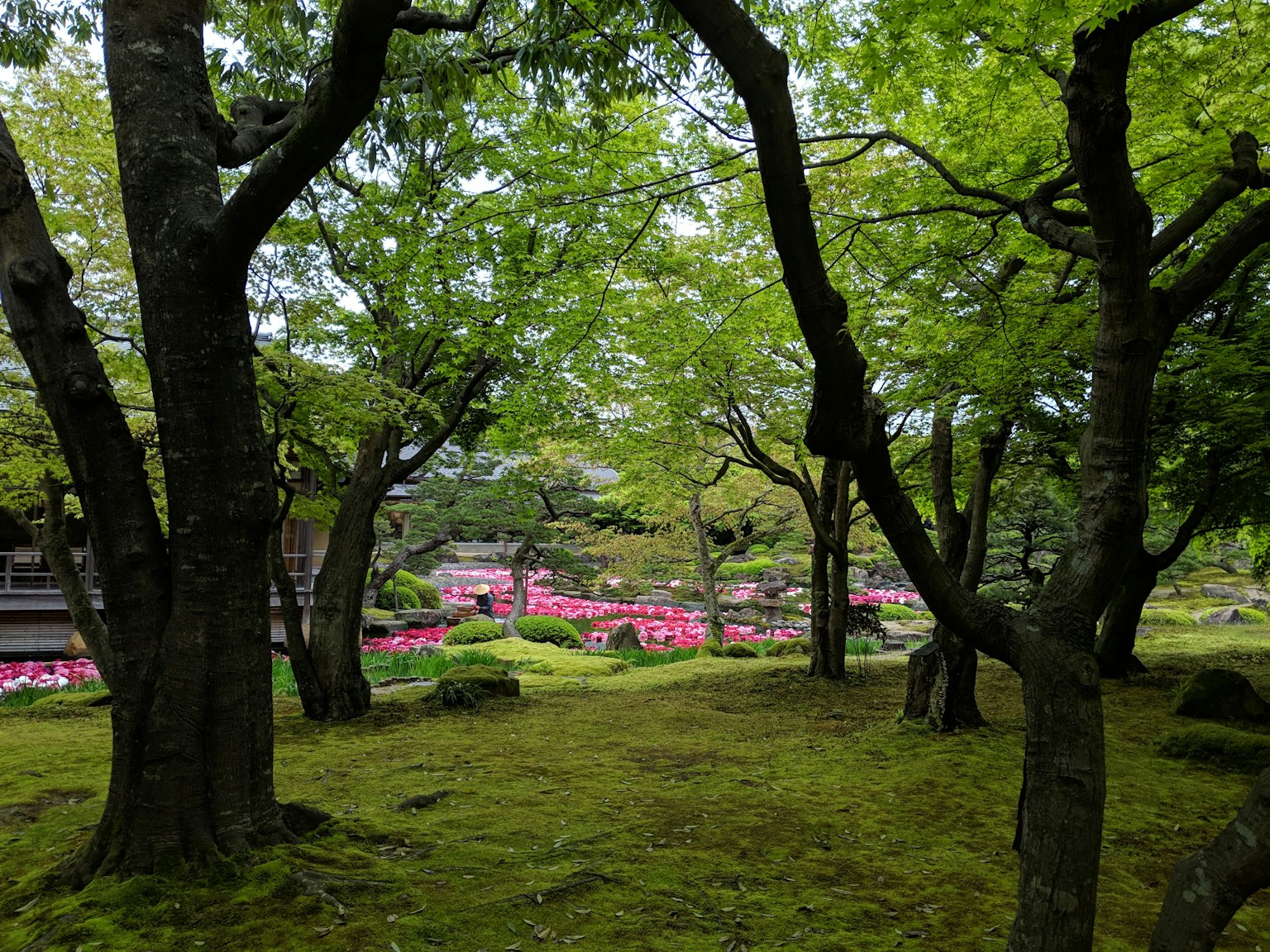 Paisaje de jardín con árboles verdes y flores visibles