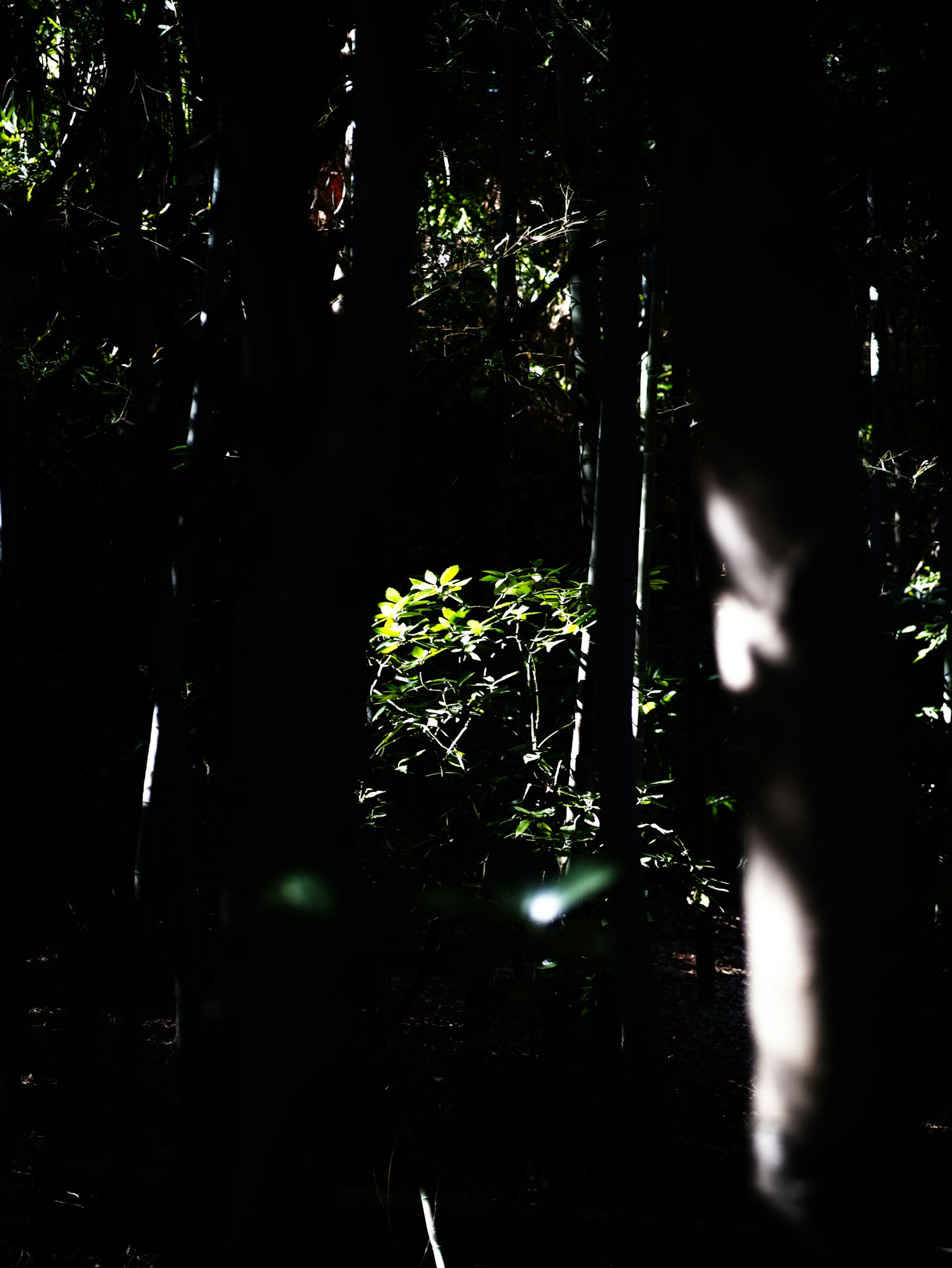 photo-dYo0q6hZ4luZg1rTg8oY-image