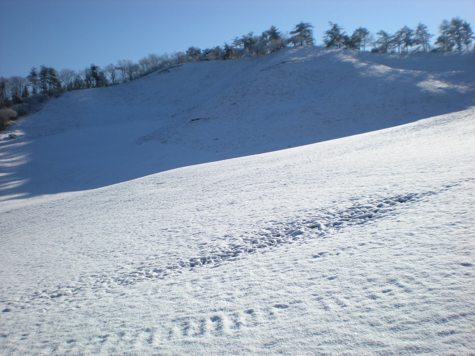 Collina coperta di neve con cielo azzurro