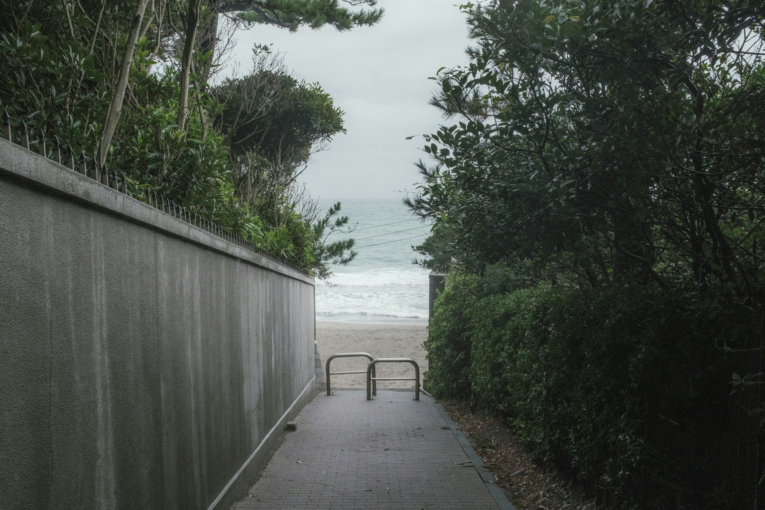 Sentiero che porta alla spiaggia con vegetazione su entrambi les côtés