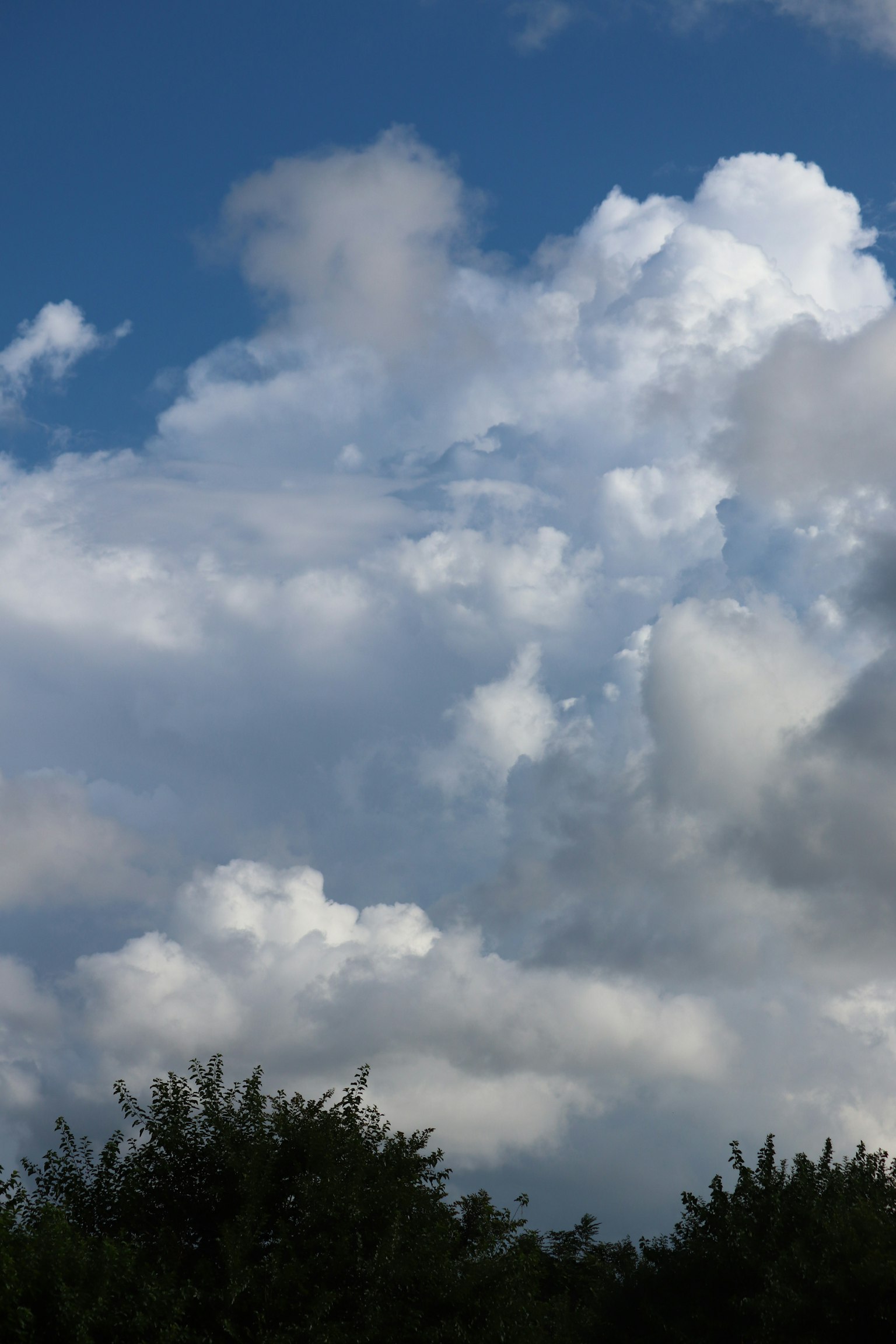 Nubes blancas en un cielo azul con árboles verdes abajo