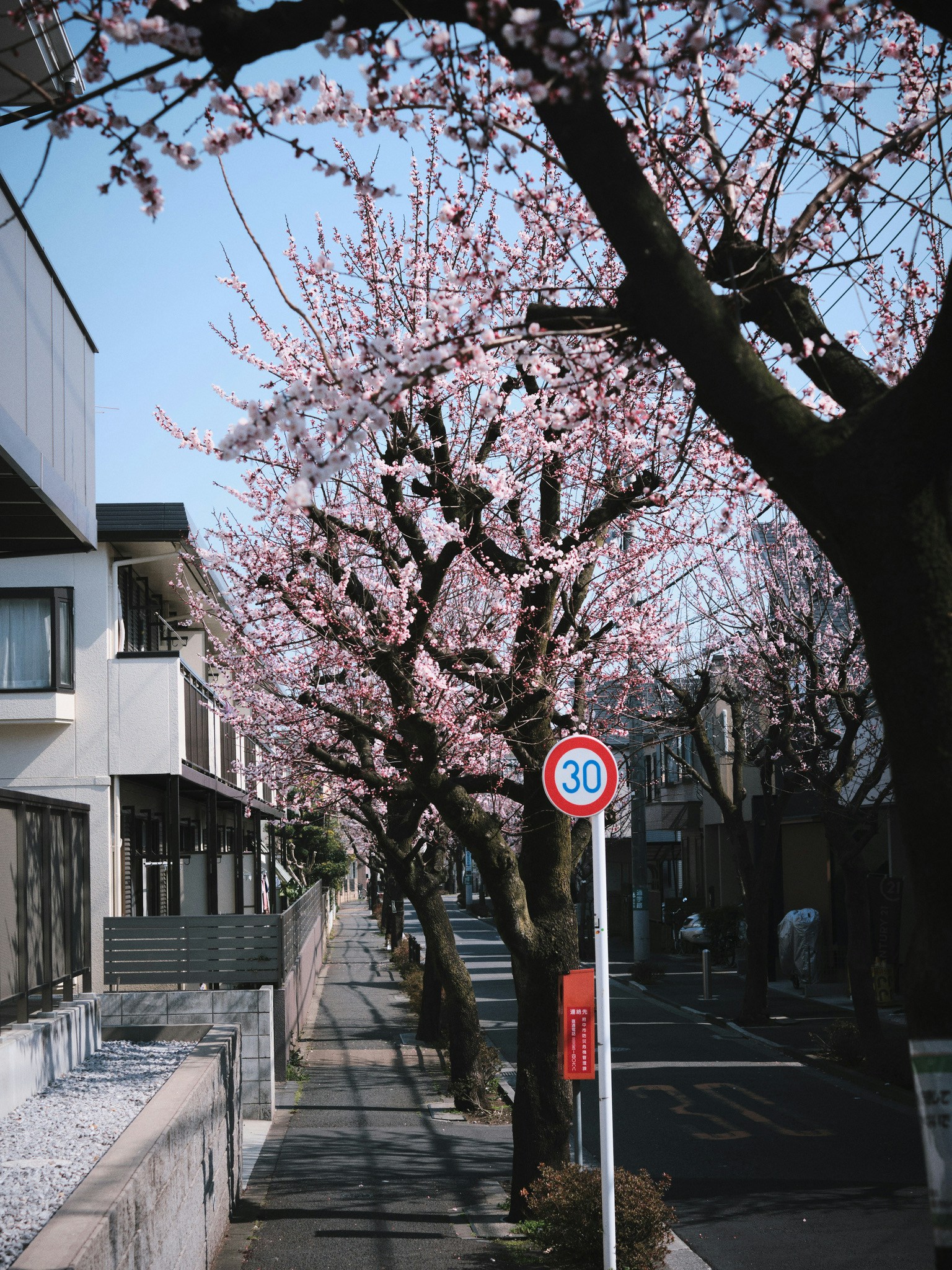photo-dcCHnBq36T6mqKWy0k00-image