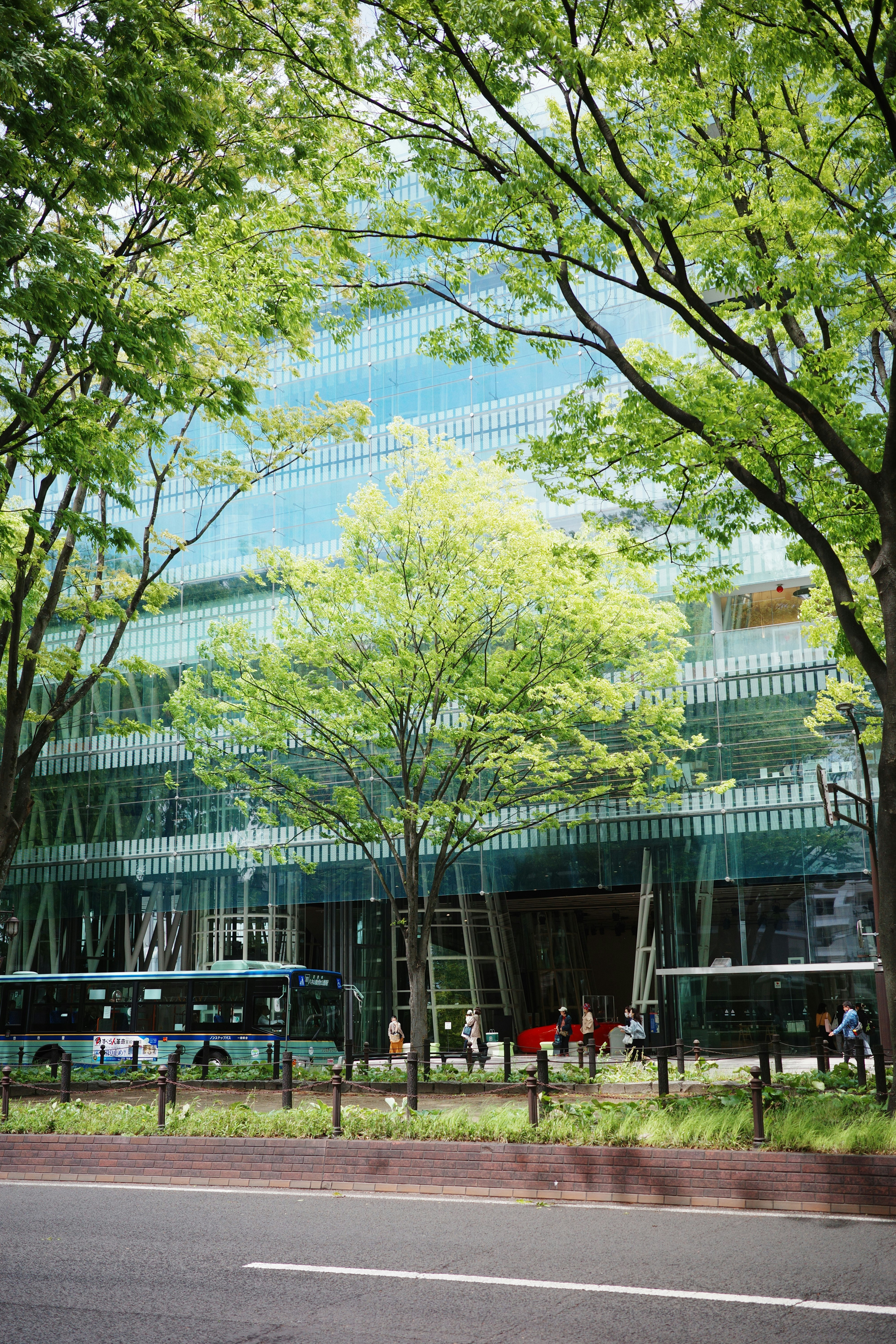 bâtiment moderne et rue vus à travers une rangée d’arbres