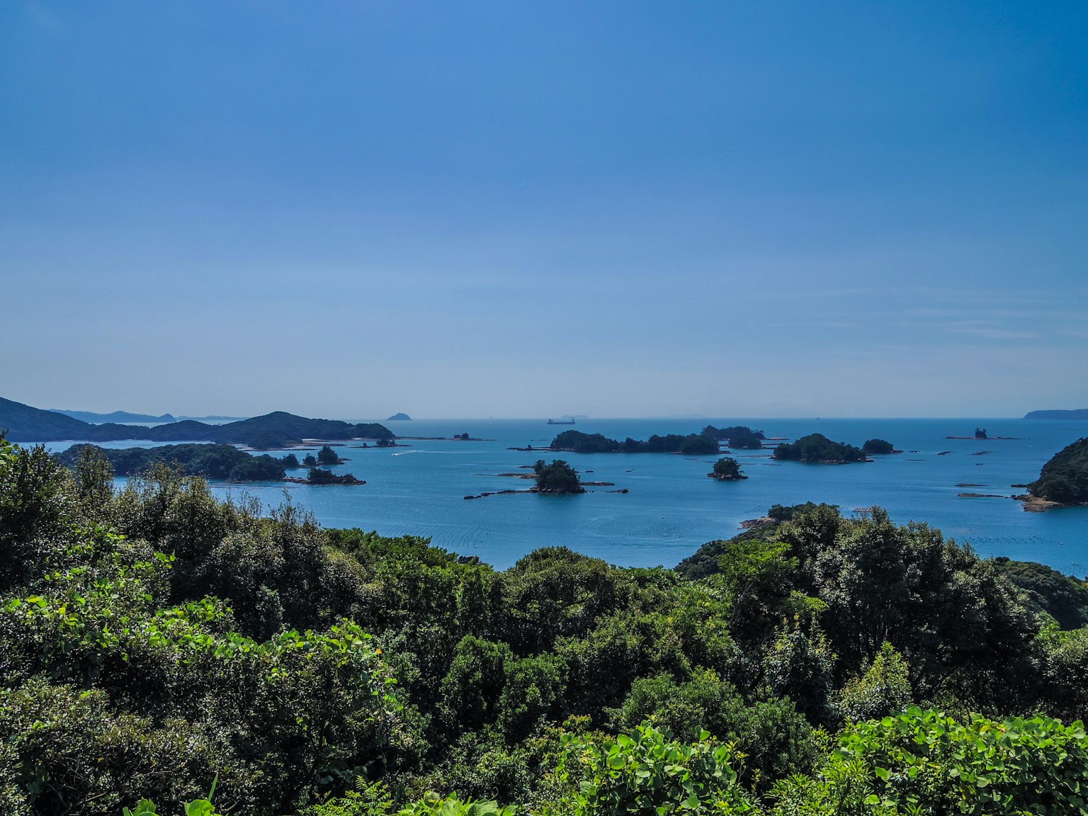 Vista panoramica dell'oceano blu e della vegetazione lussureggiante