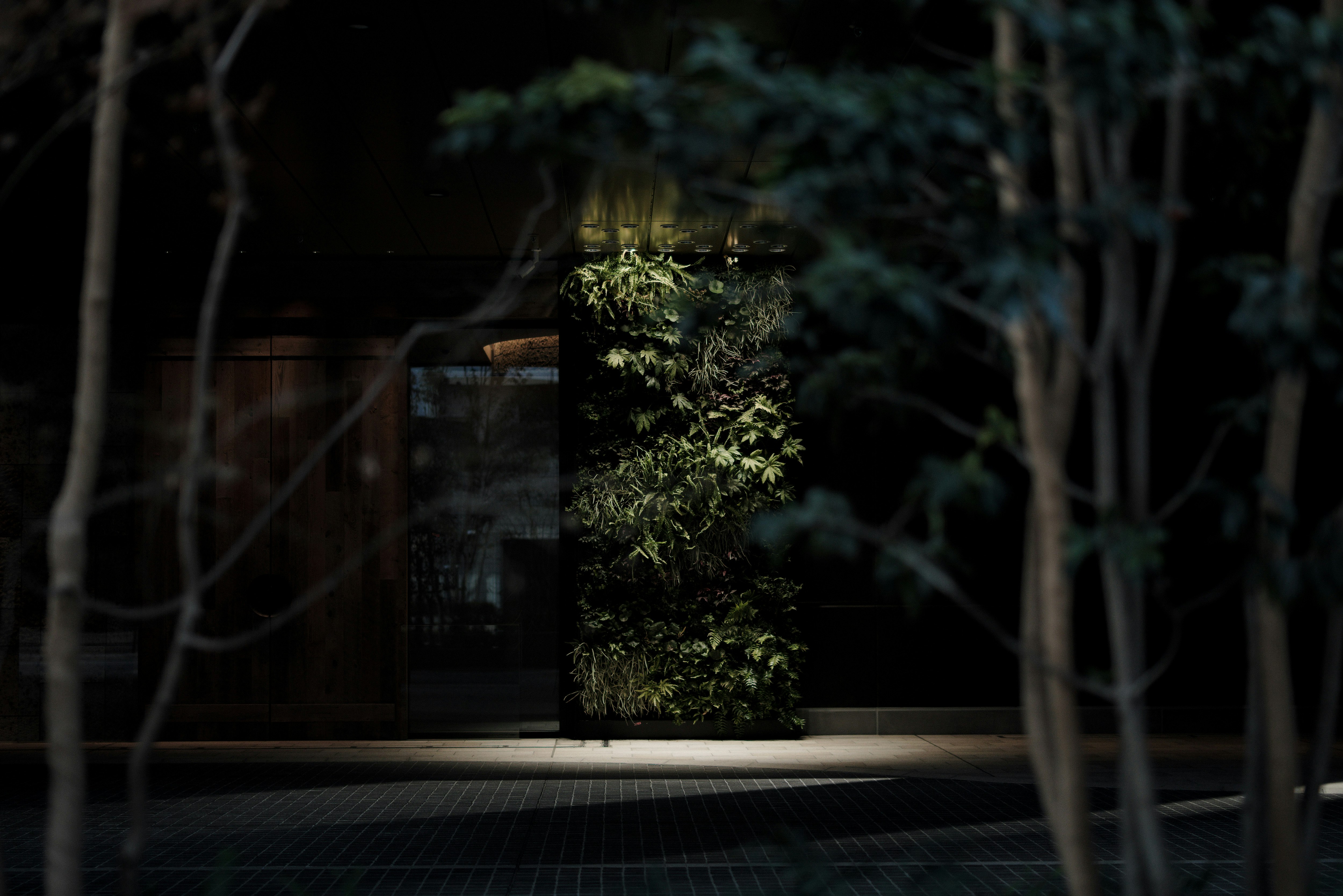 緑の植物が映える建物の入口の街並み