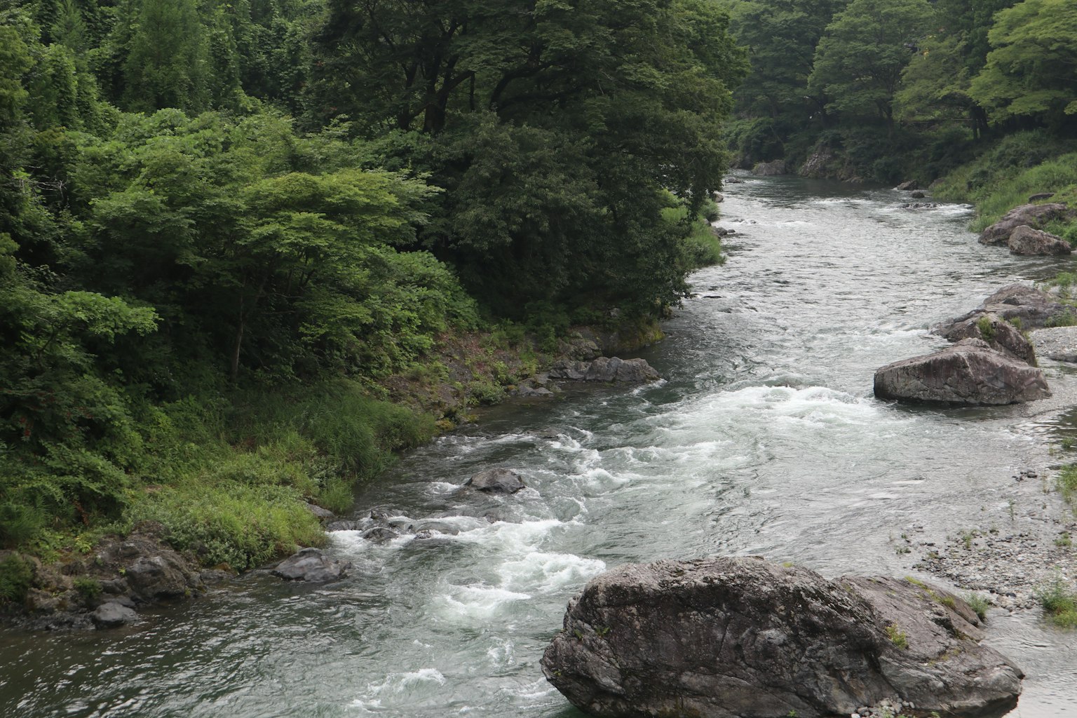 Malersicher Blick auf einen fließenden Fluss, umgeben von üppigem Grün
