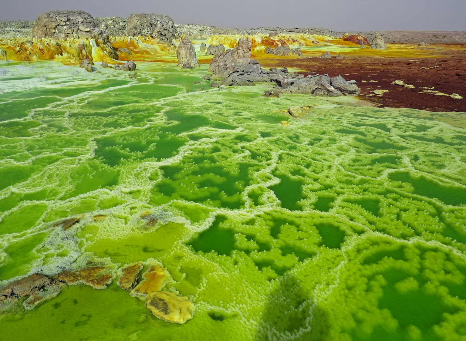Surreal landscape of a salt lake with vibrant green patterns