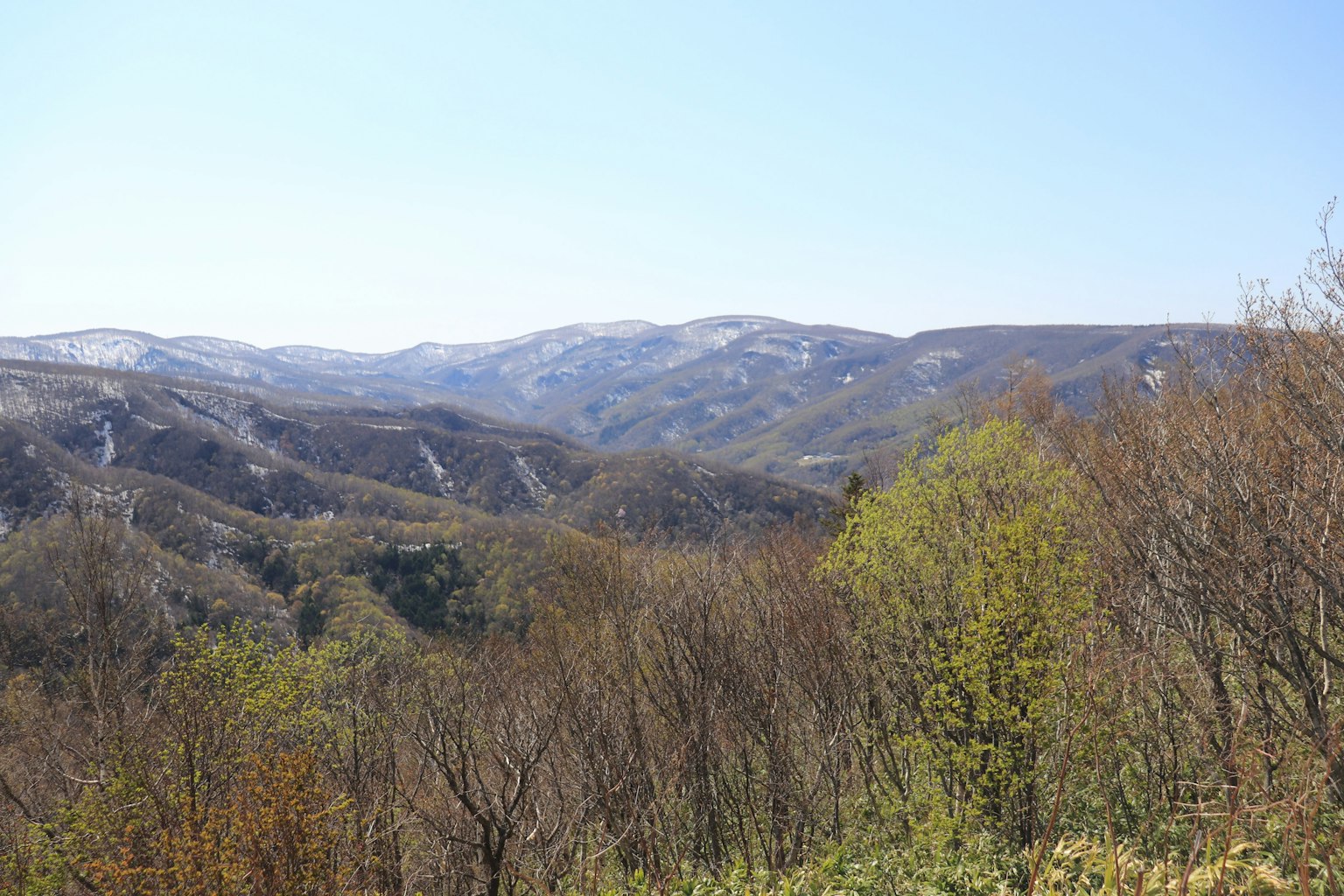 Mountain landscape with green trees under a clear blue sky