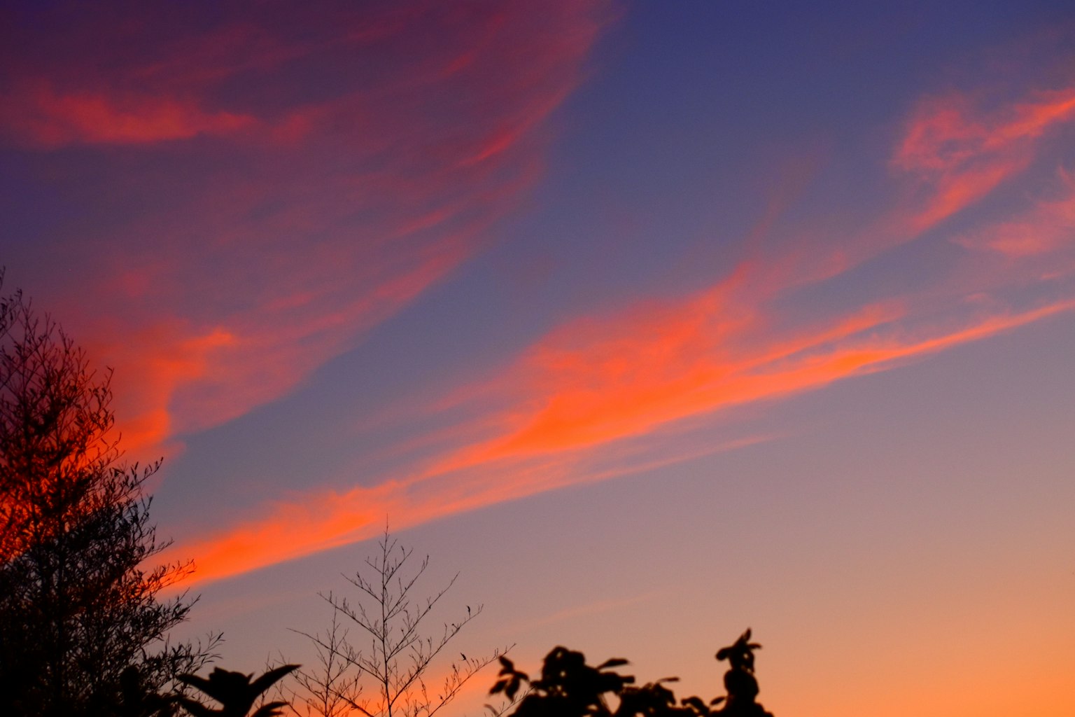 Ciel de coucher de soleil avec des nuages orange et violet