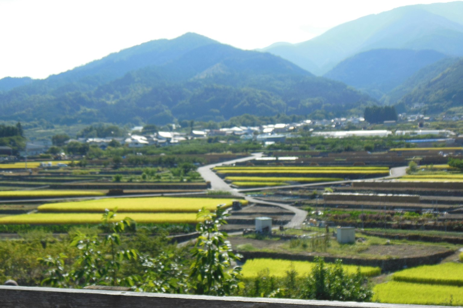Paisaje rural pintoresco con montañas y arrozales